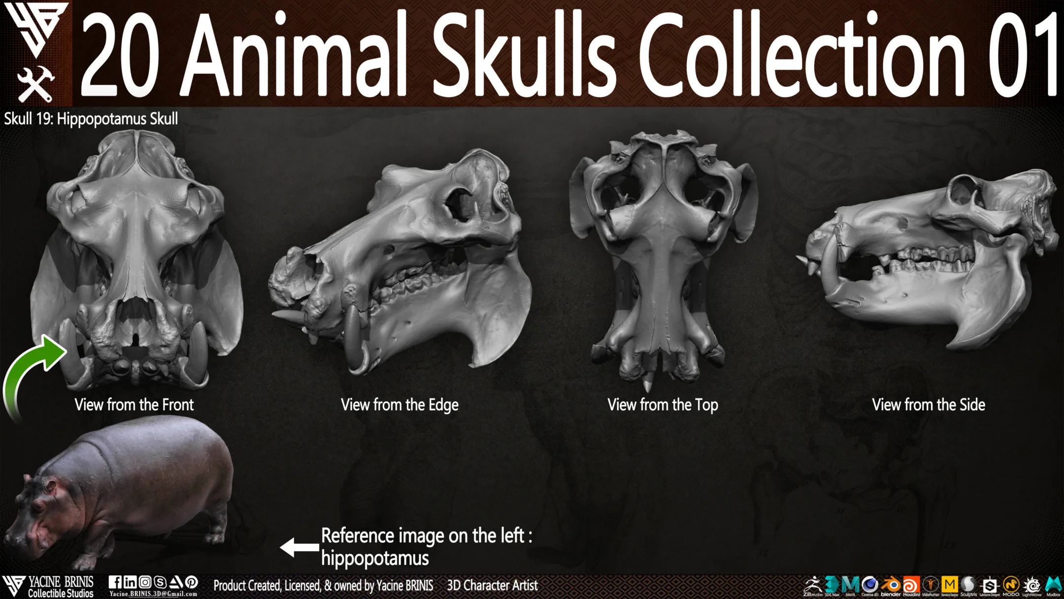 20 Animal Skulls Collection 01