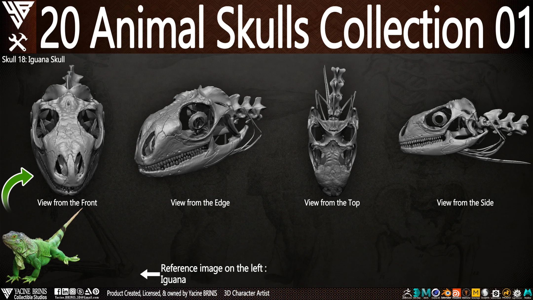 20 Animal Skulls Collection 01