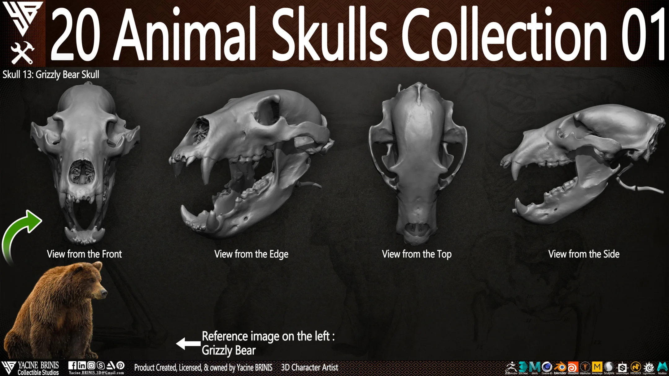 20 Animal Skulls Collection 01