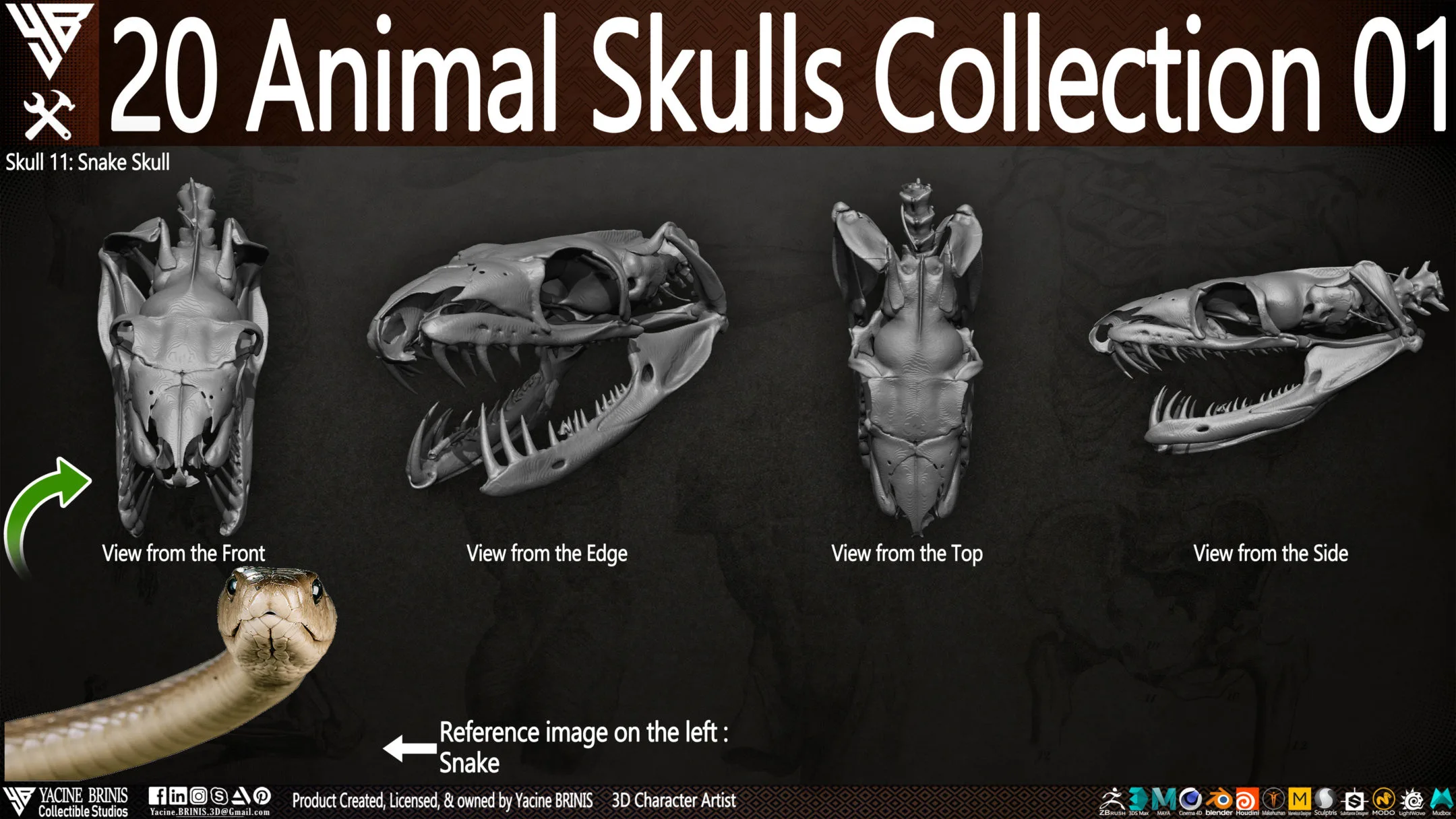 20 Animal Skulls Collection 01