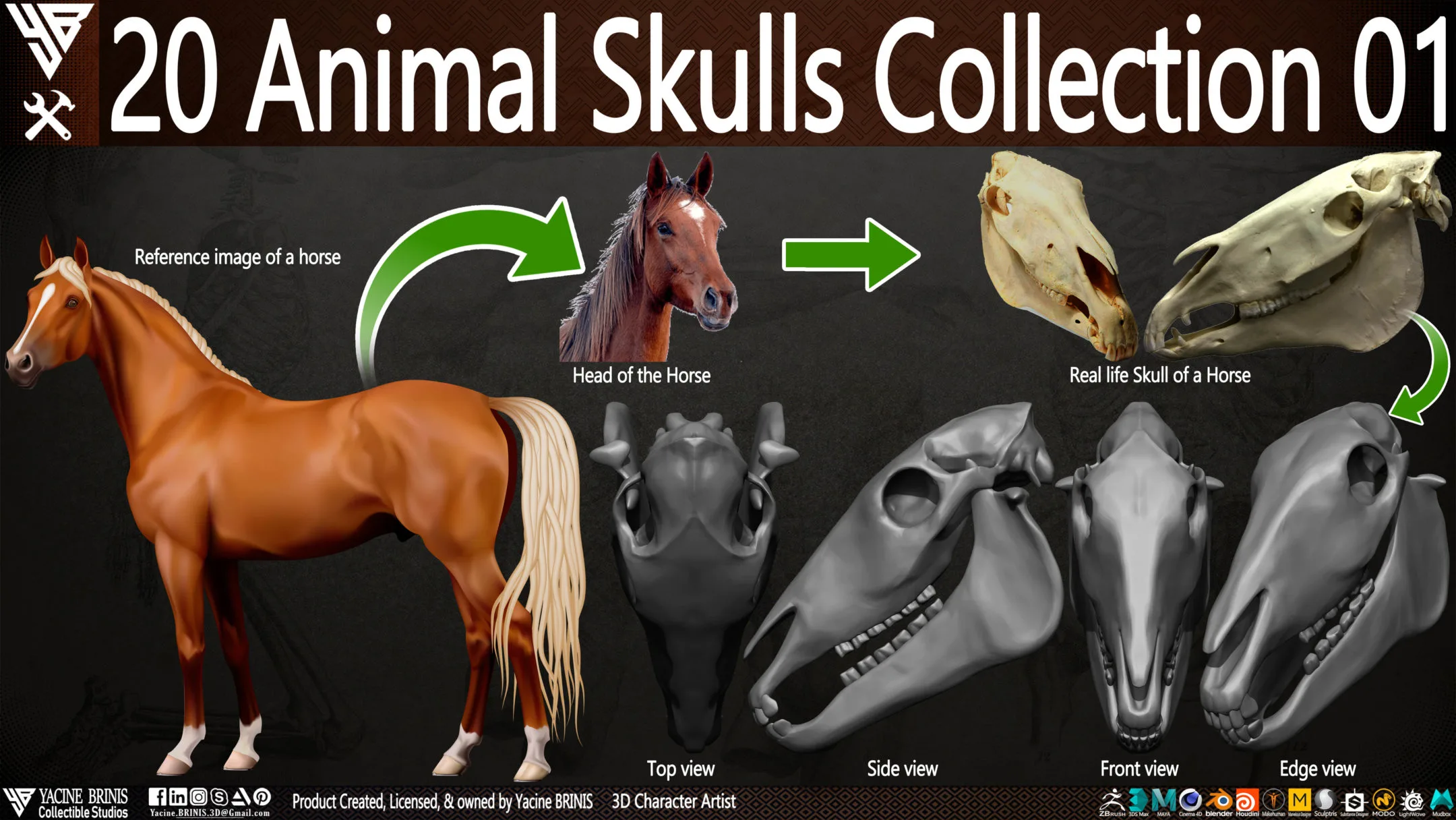 20 Animal Skulls Collection 01