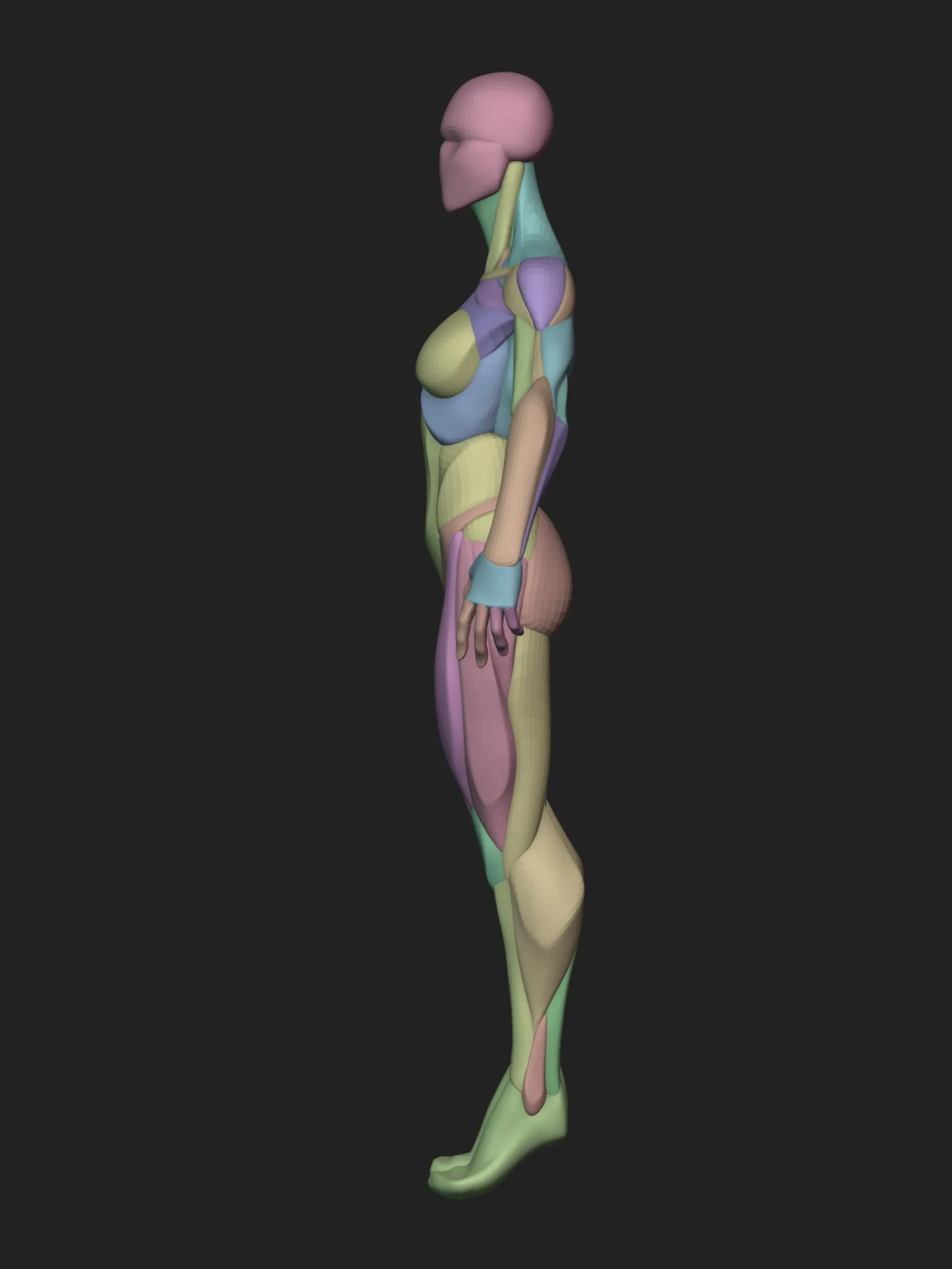 Stylized Female Blockout