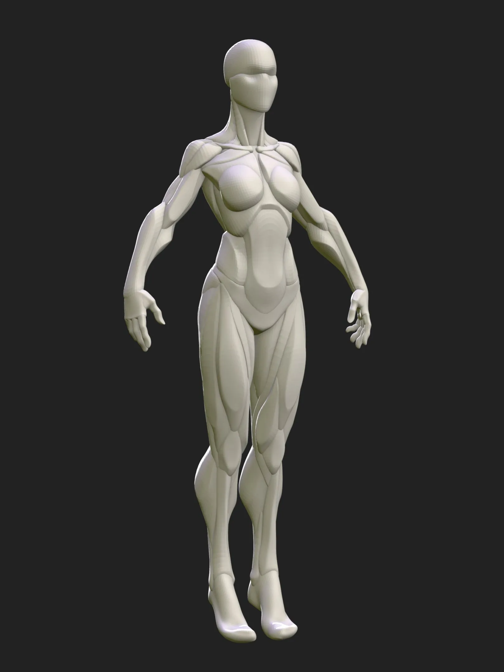 Stylized Female Blockout