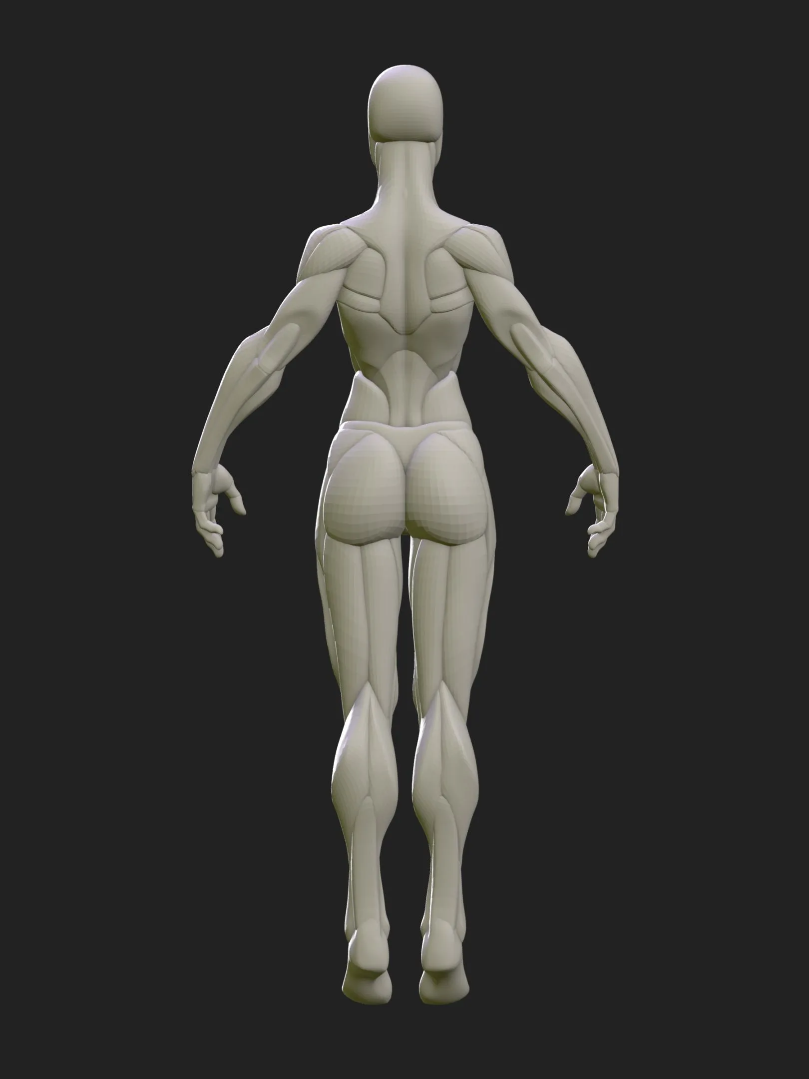 Stylized Female Blockout