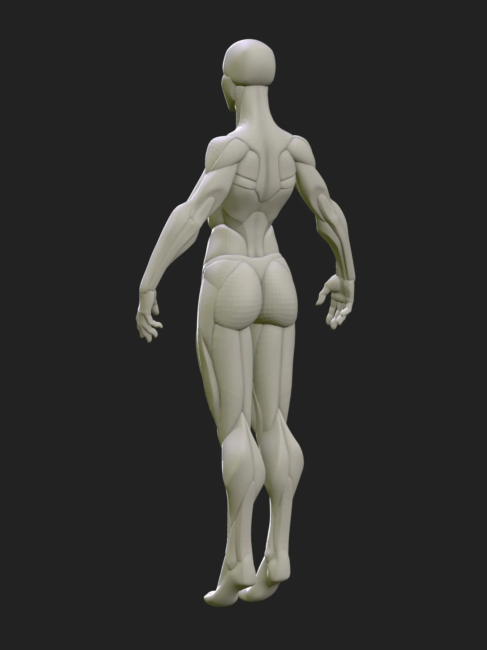 Stylized Female Blockout