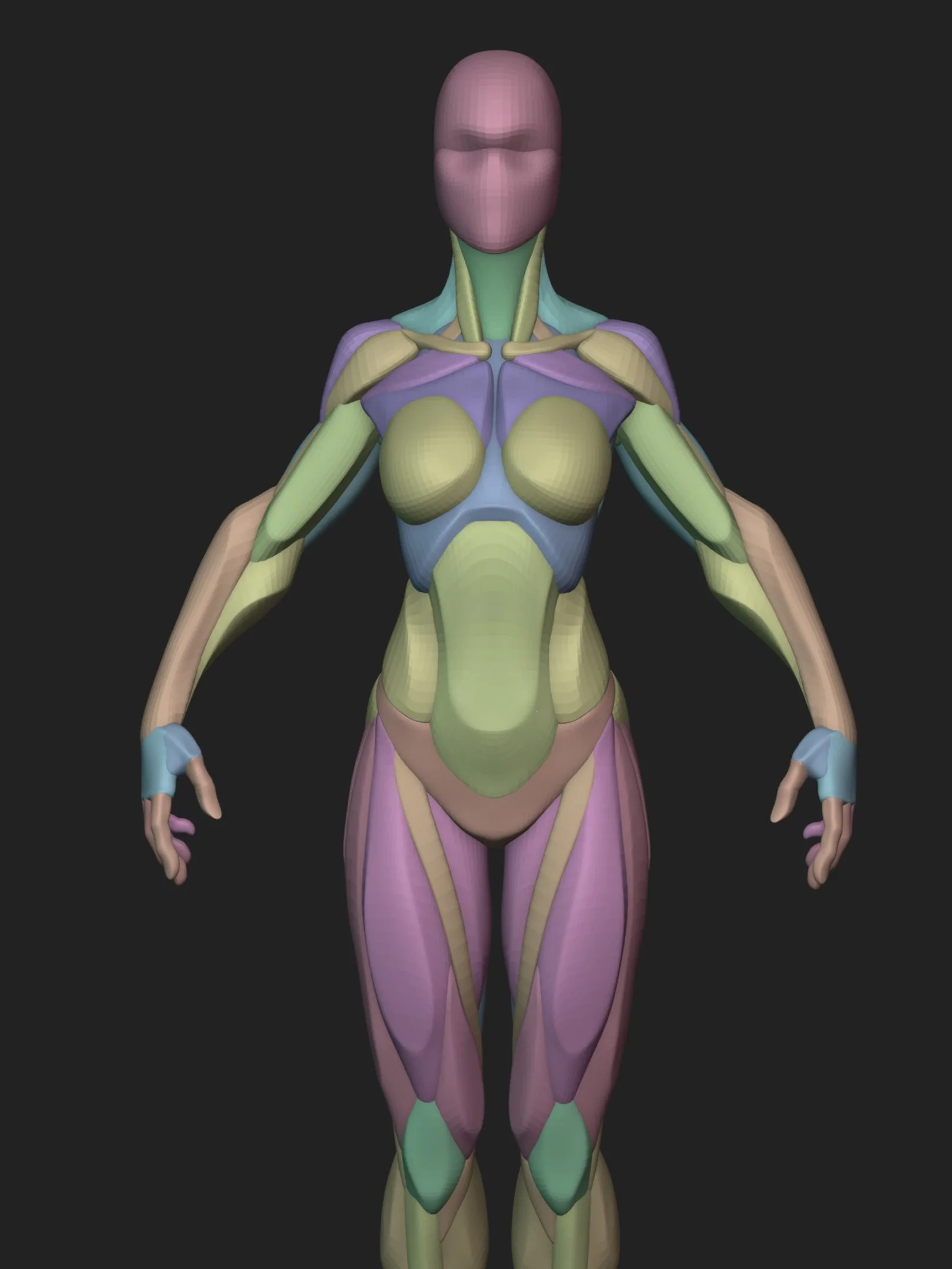 Stylized Female Blockout