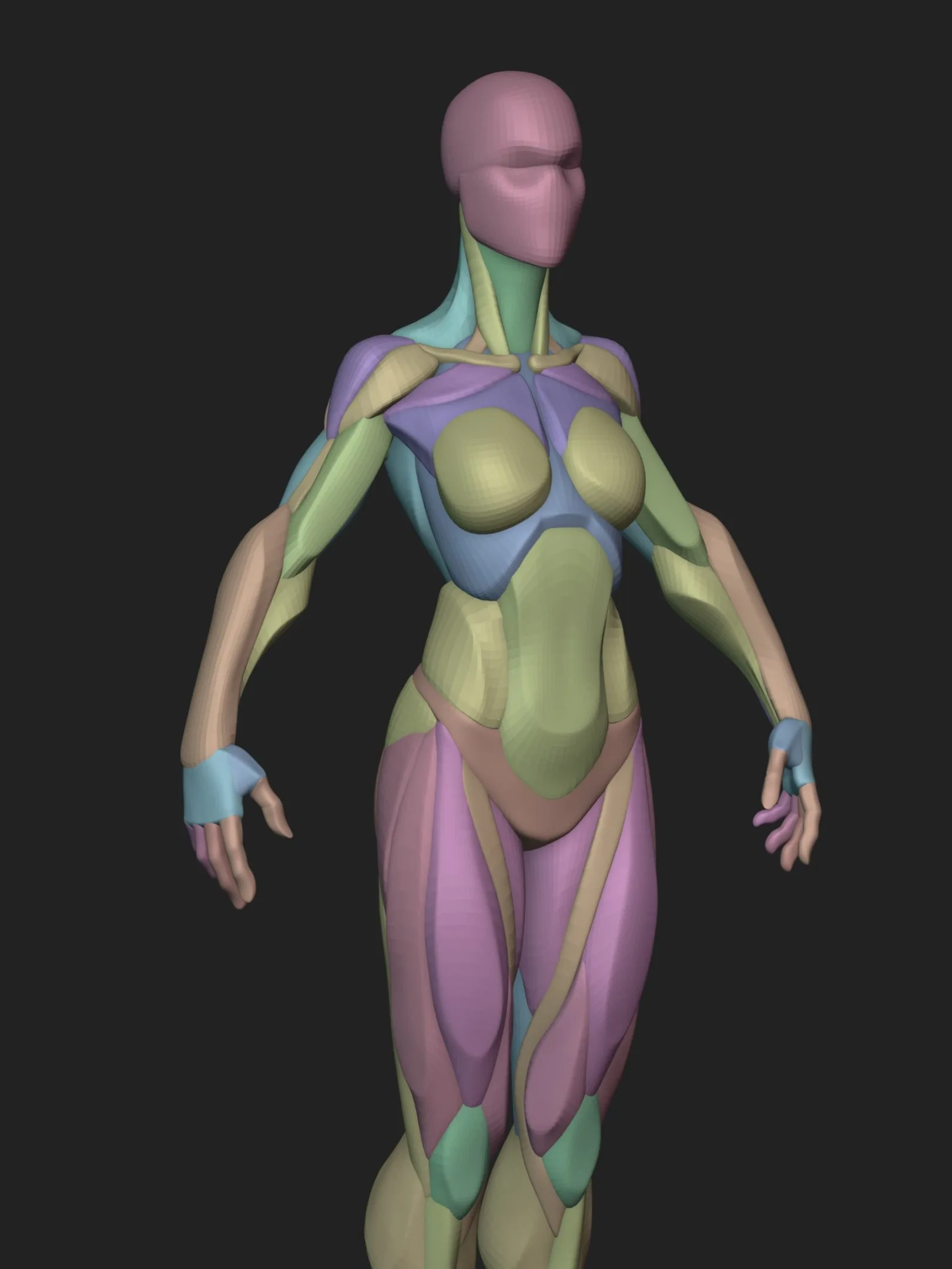 Stylized Female Blockout