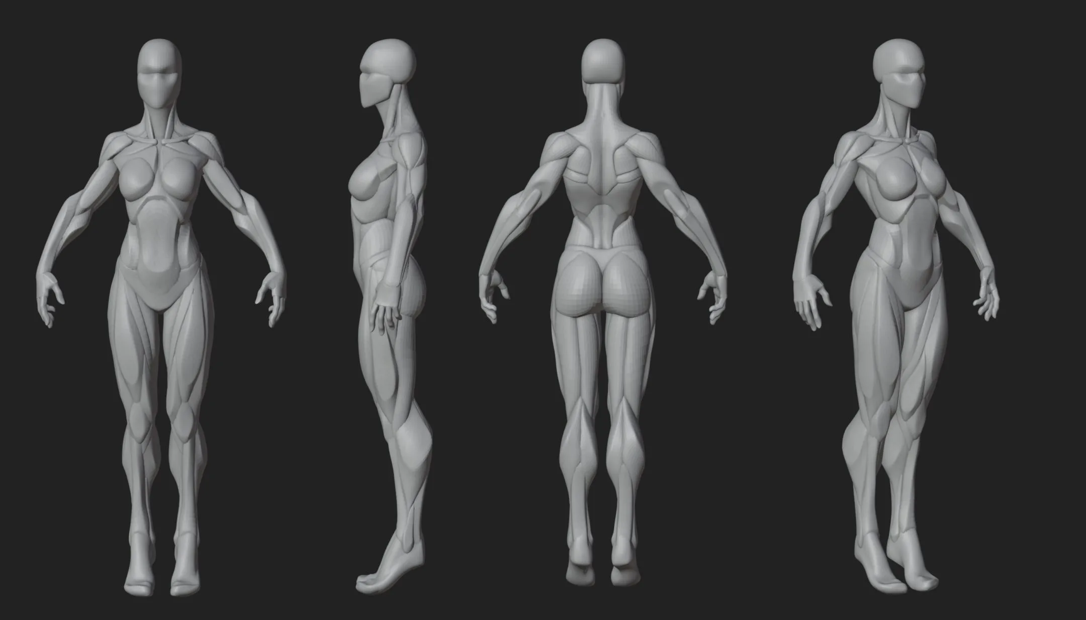 Stylized Female Blockout