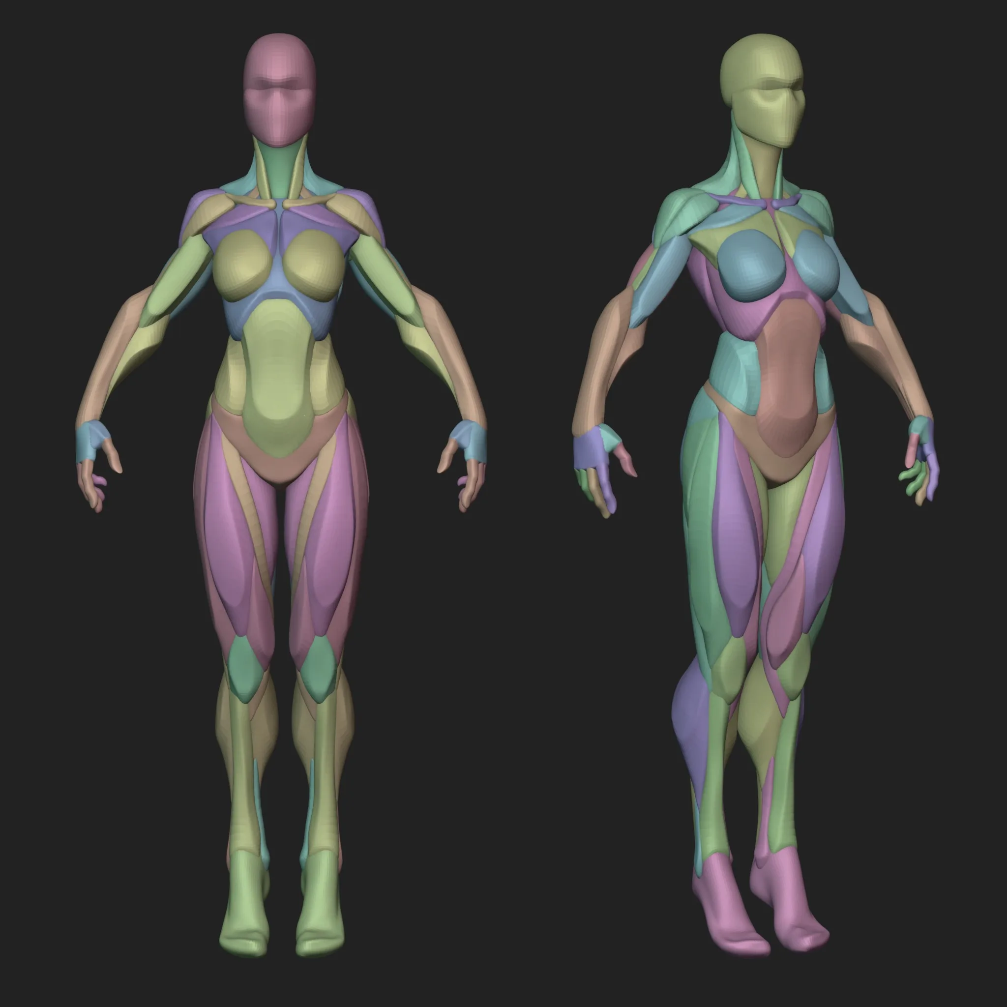 Stylized Female Blockout