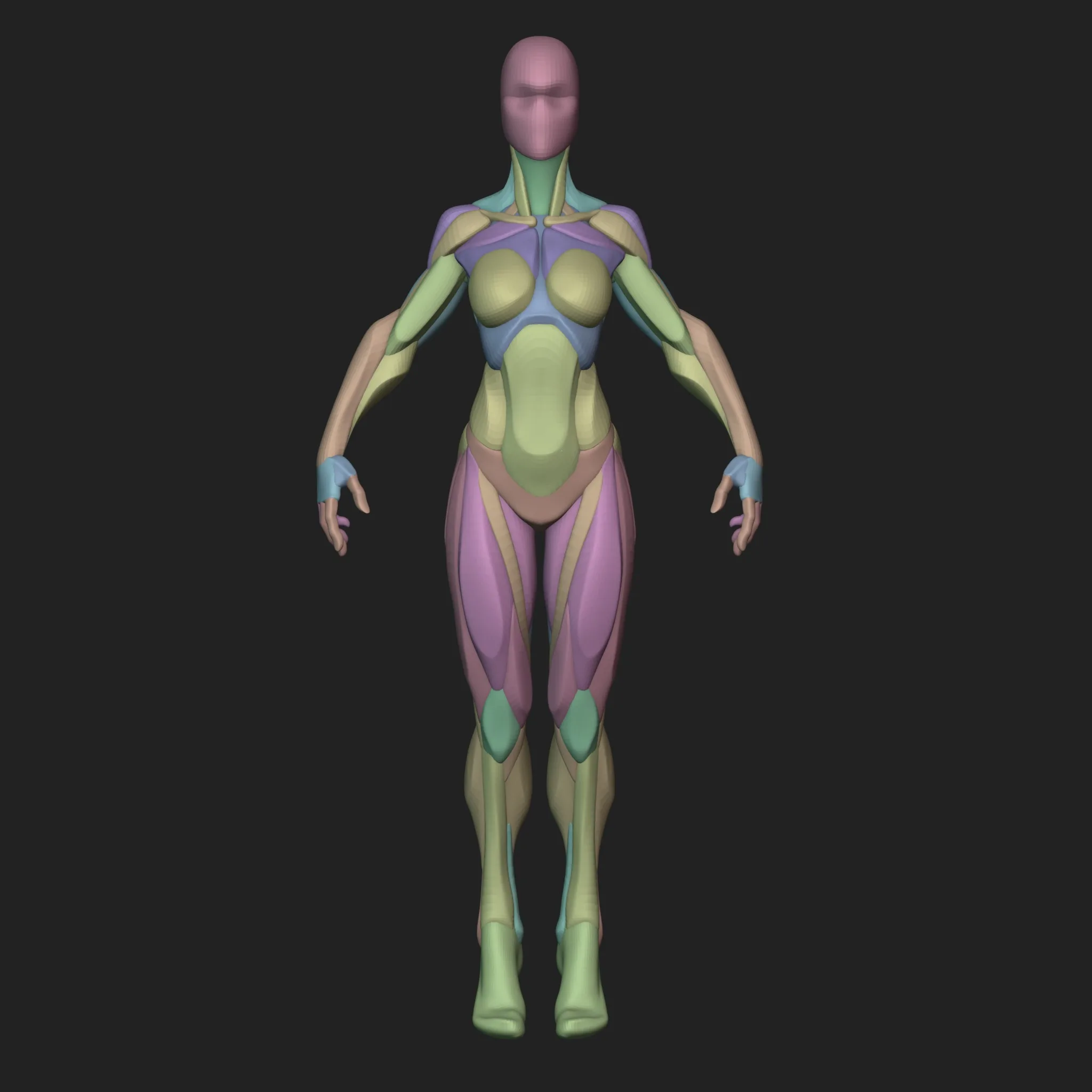 Stylized Female Blockout