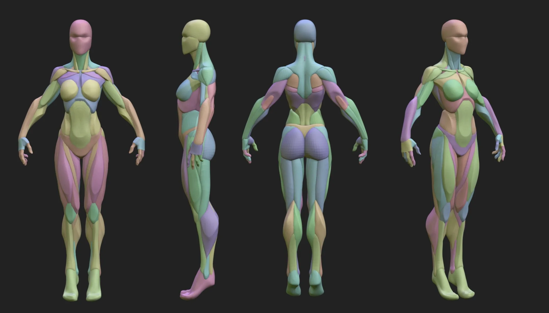 Stylized Female Blockout