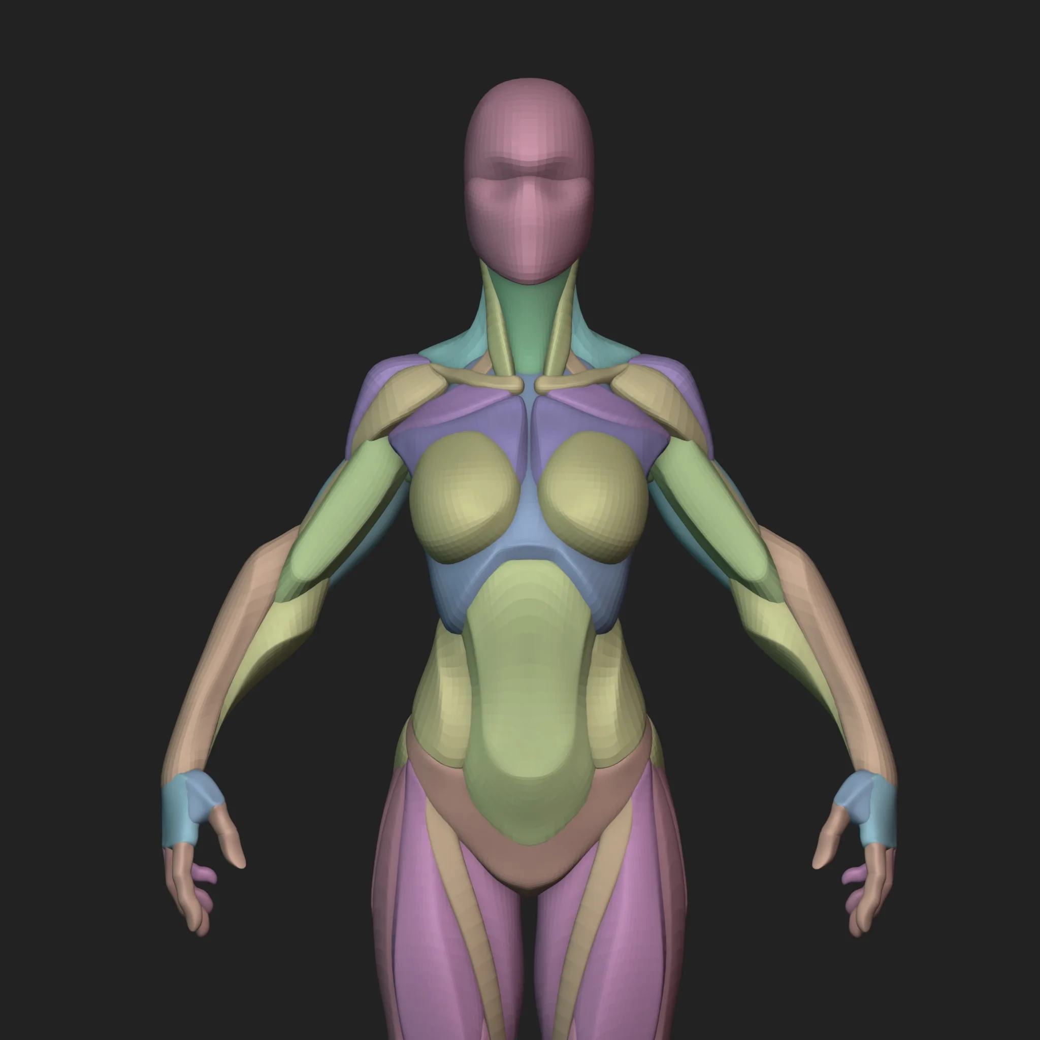 Stylized Female Blockout