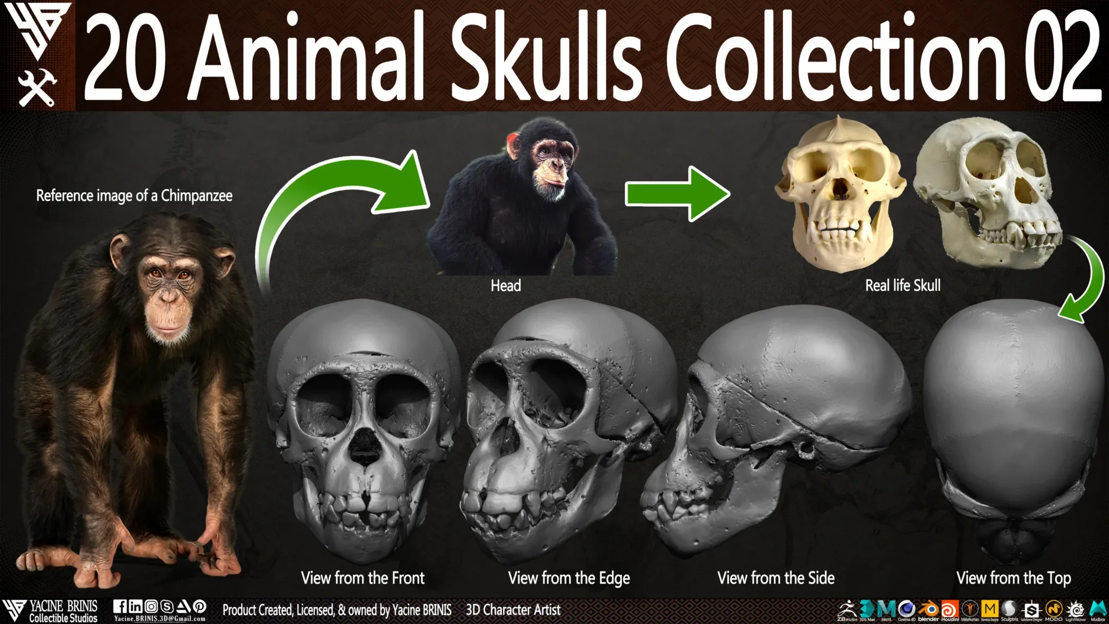 20 Animal Skulls Collection 02