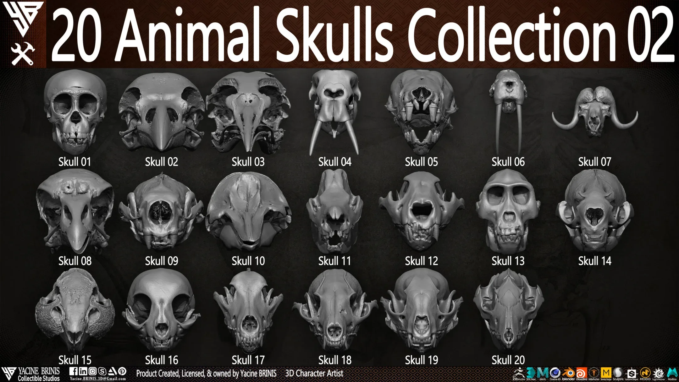 20 Animal Skulls Collection 02