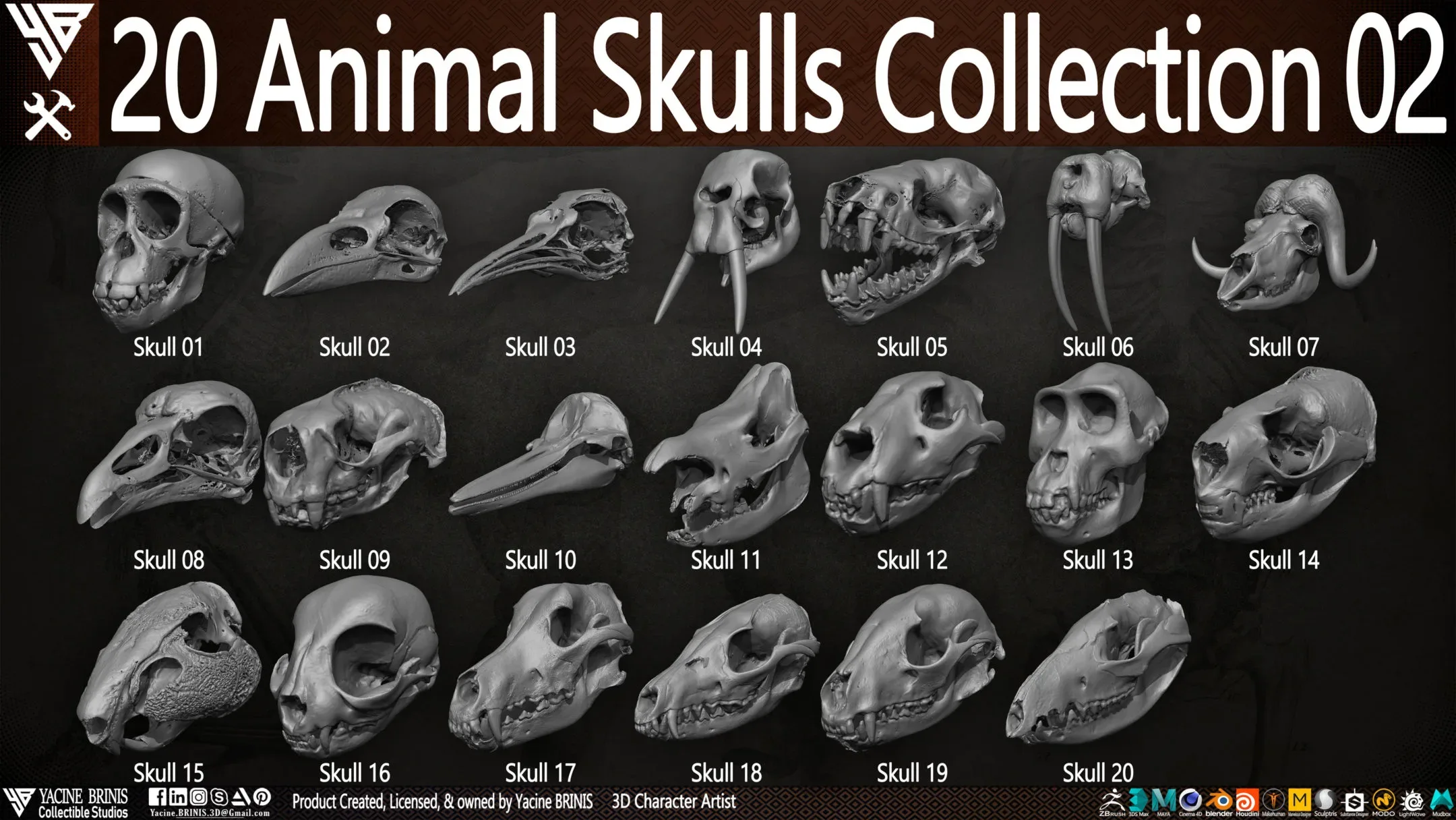20 Animal Skulls Collection 02