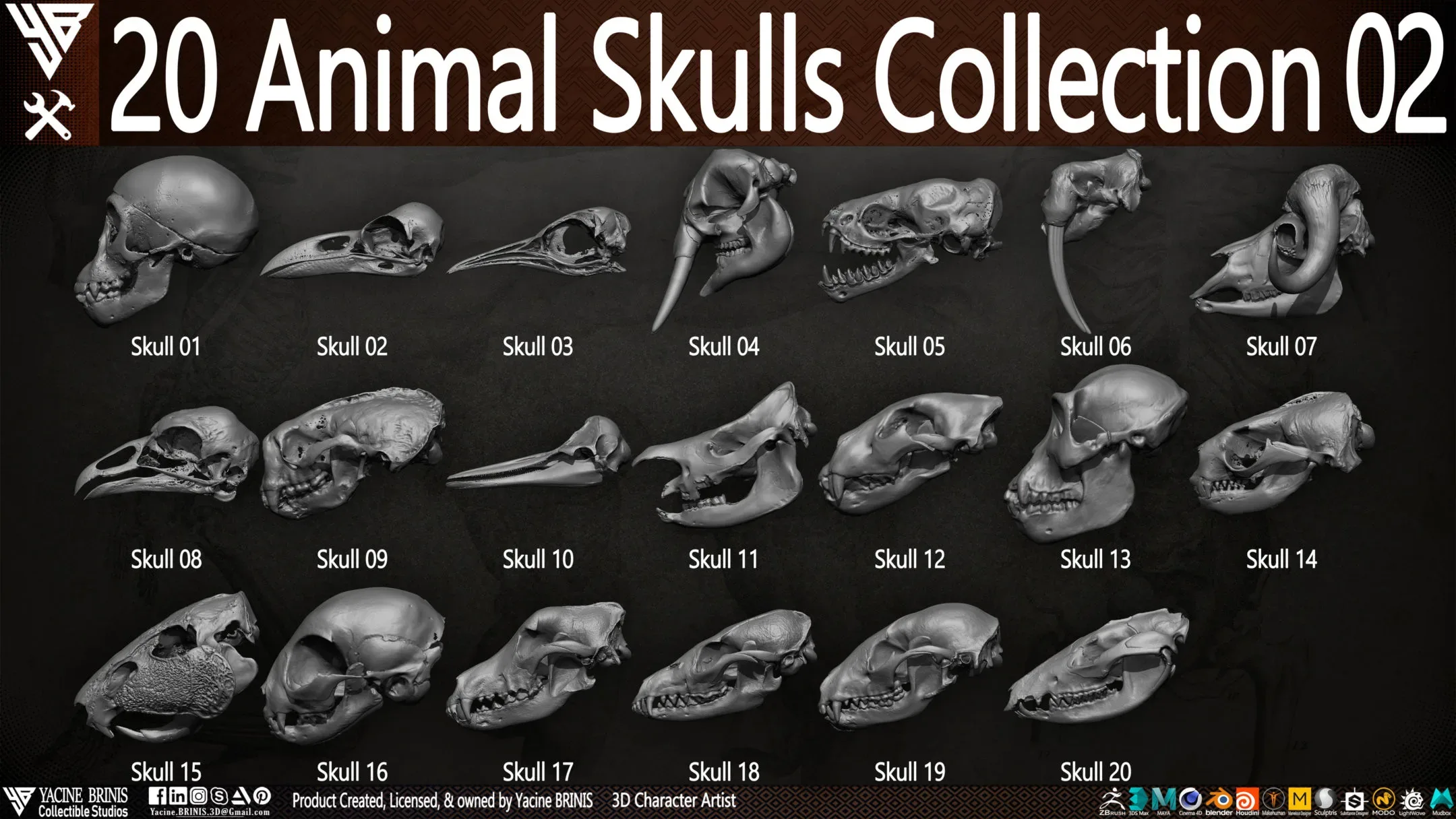 20 Animal Skulls Collection 02