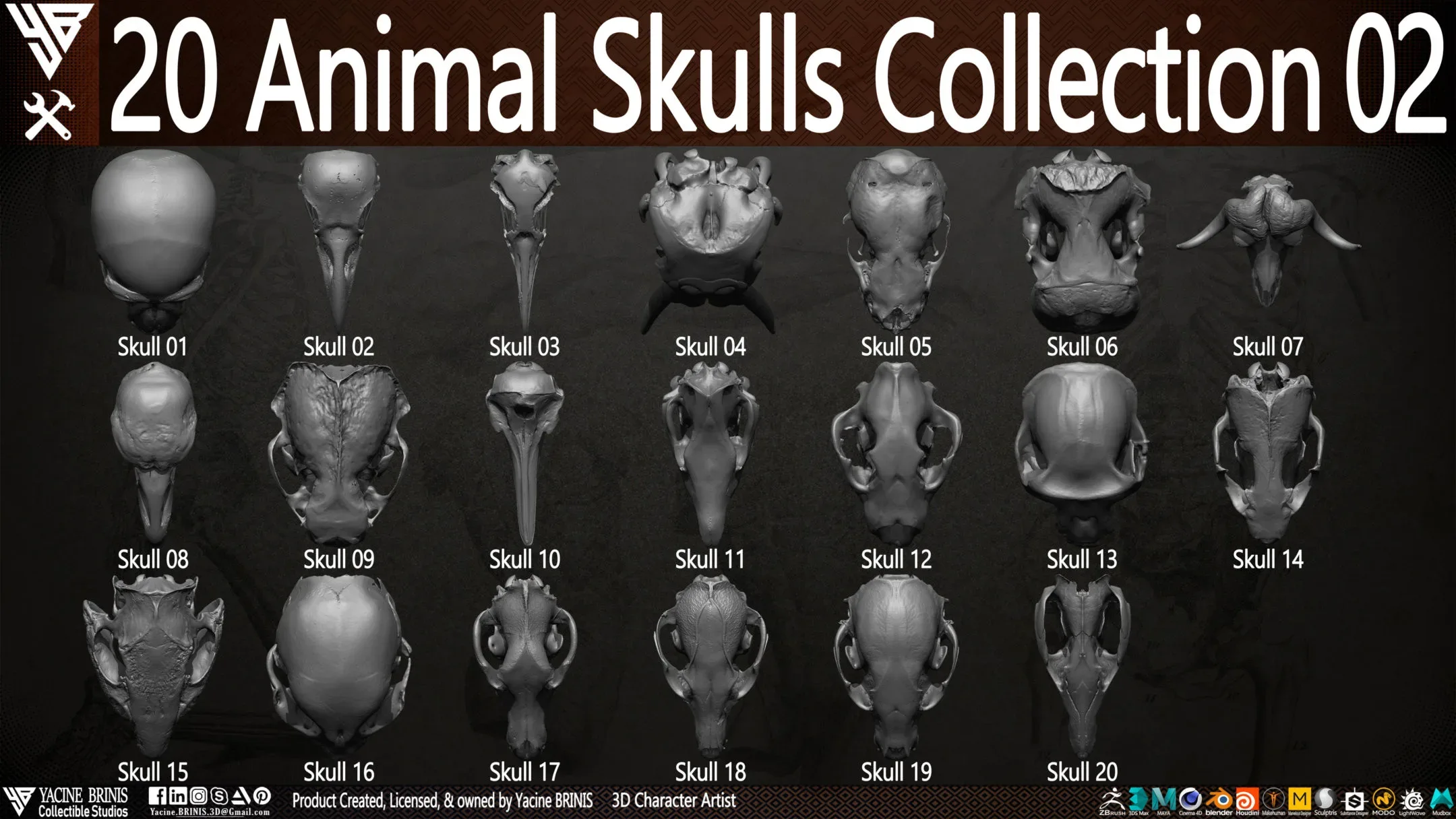 20 Animal Skulls Collection 02