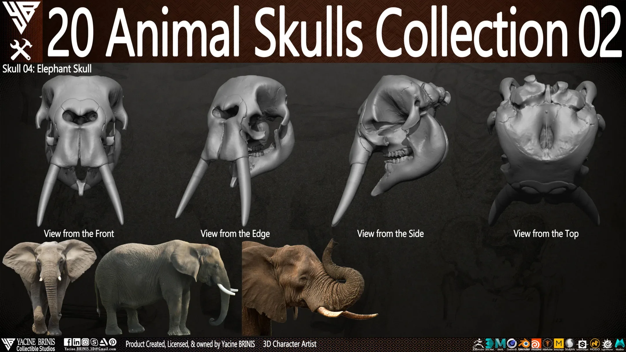 20 Animal Skulls Collection 02