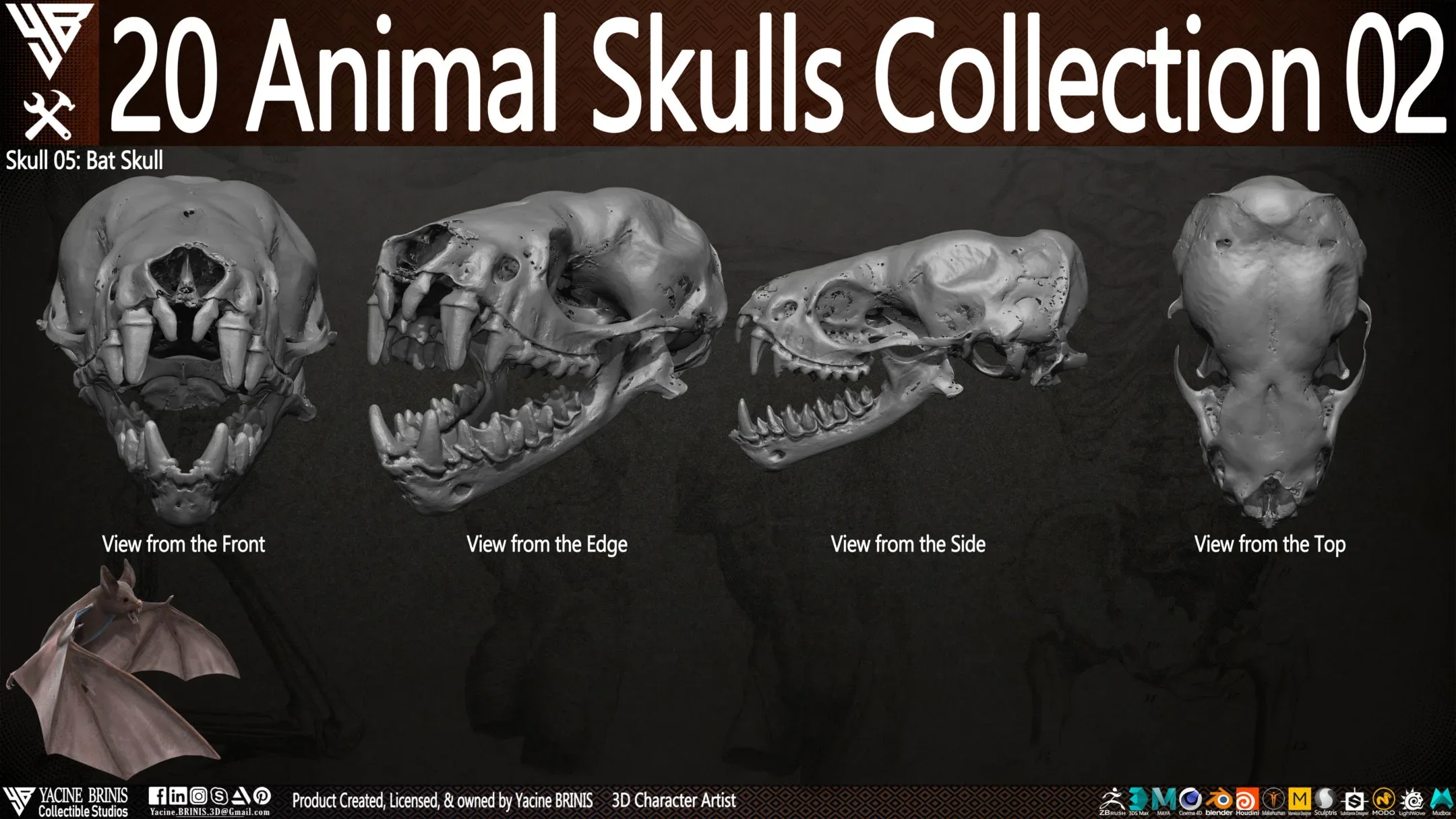 20 Animal Skulls Collection 02