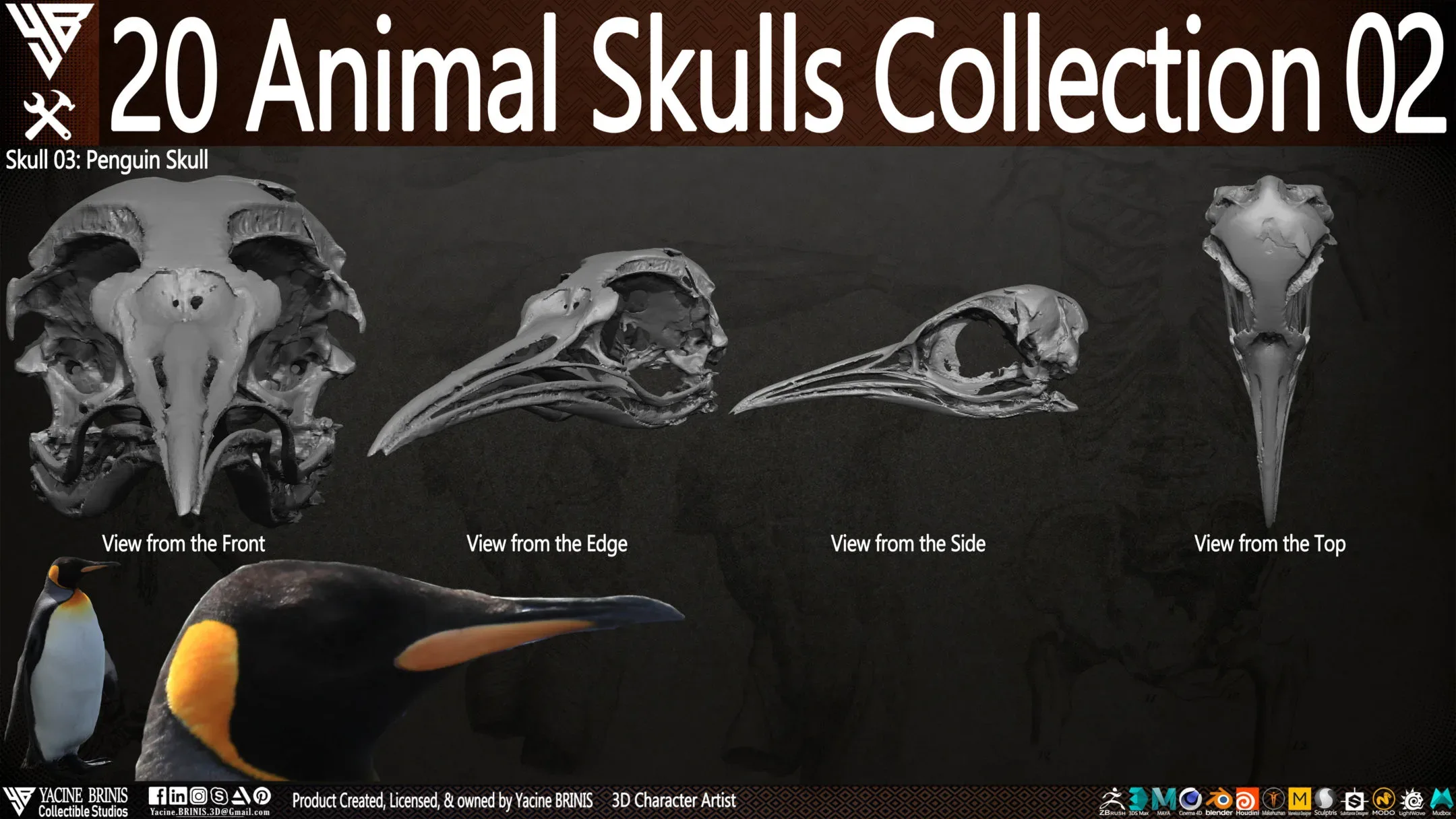 20 Animal Skulls Collection 02