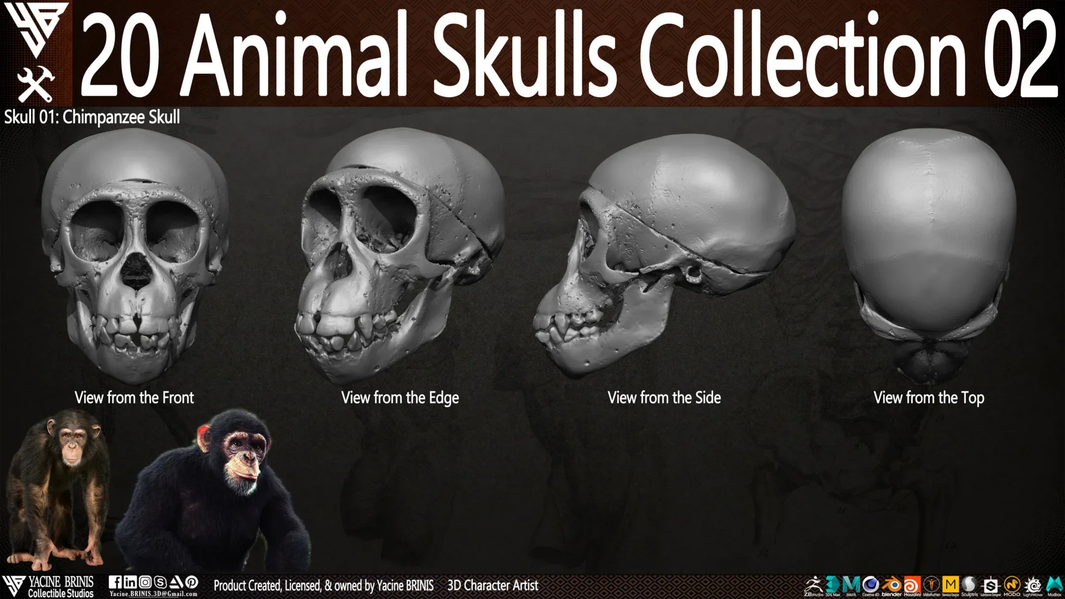 20 Animal Skulls Collection 02