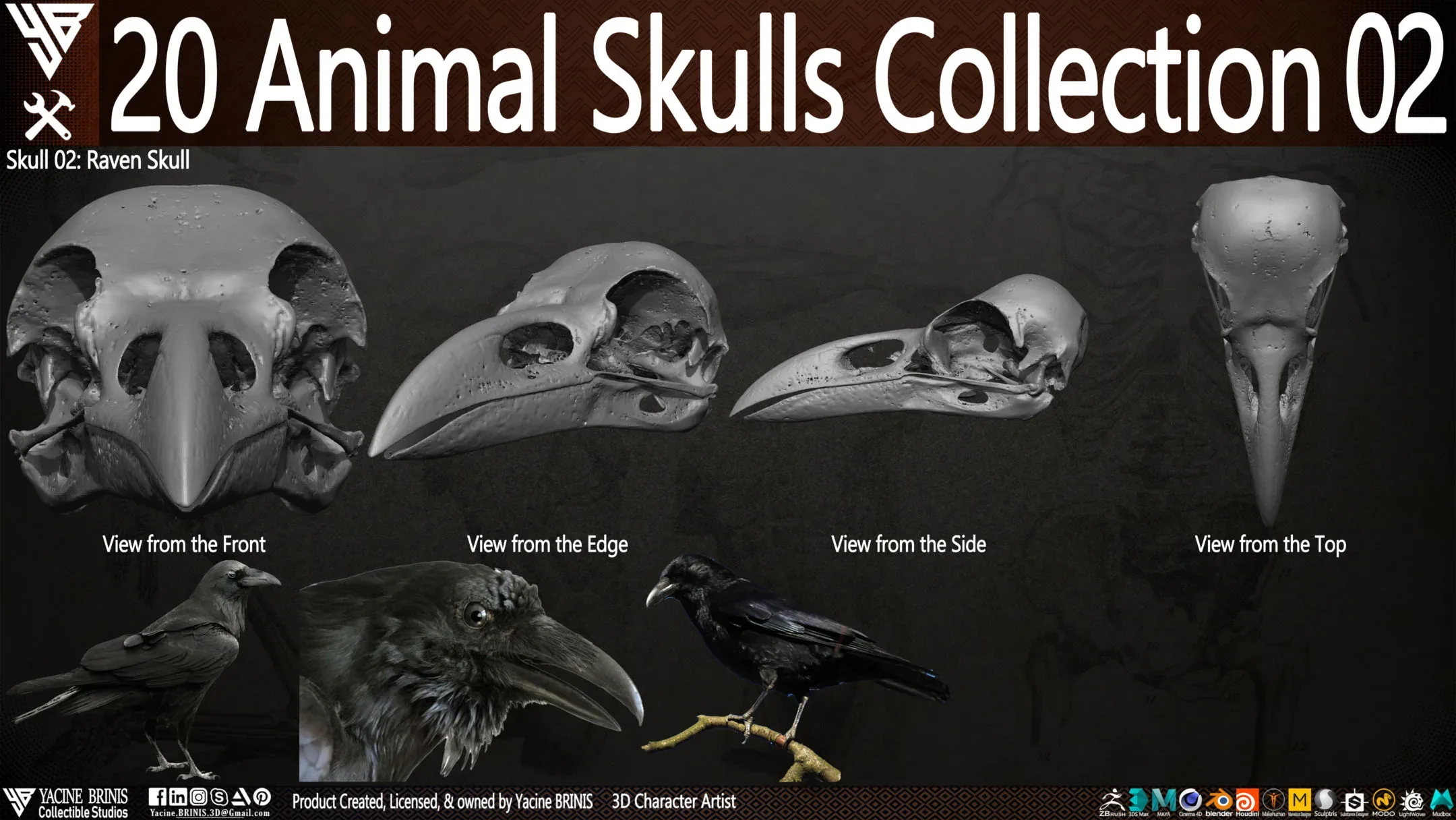 20 Animal Skulls Collection 02