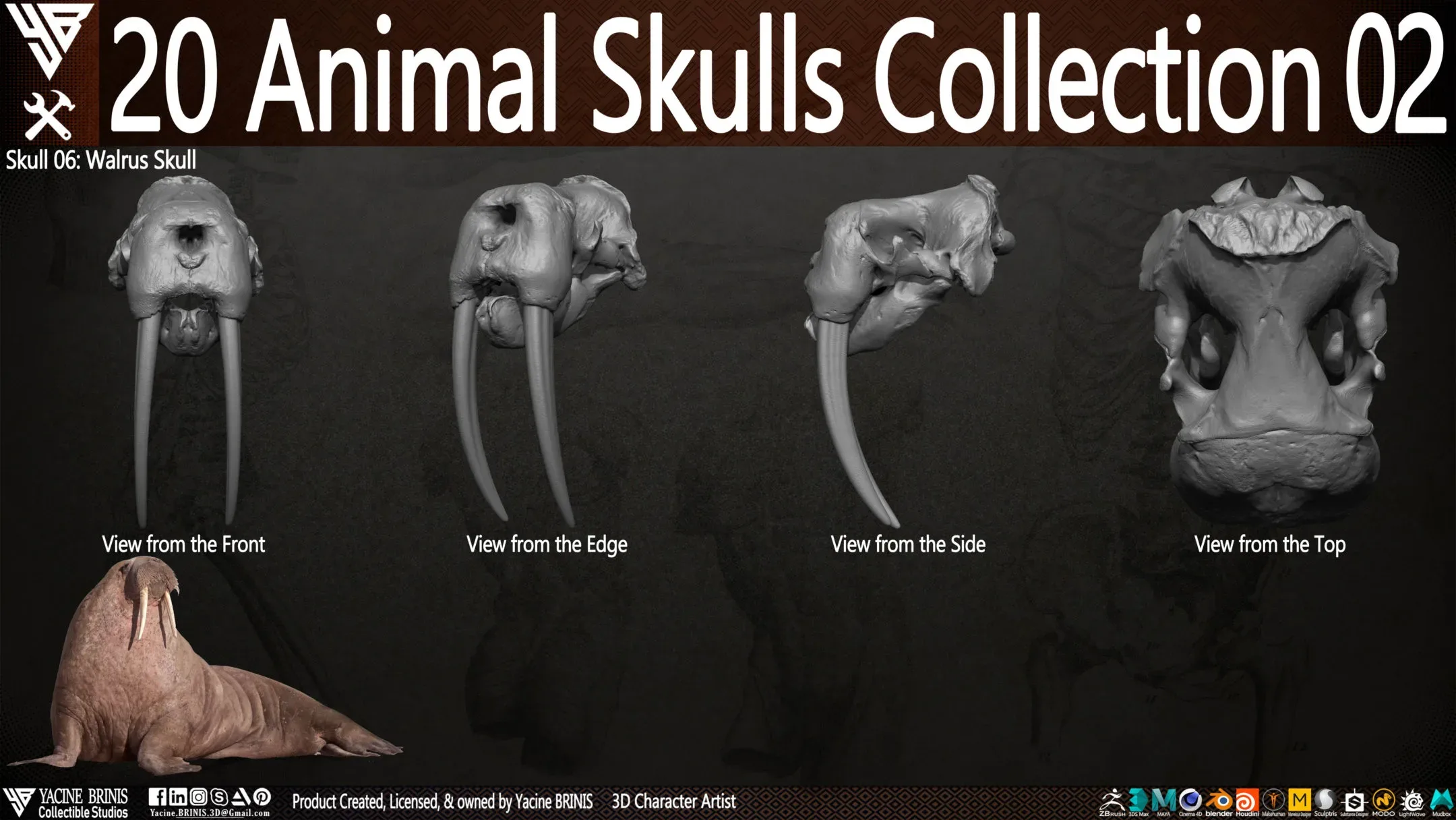 20 Animal Skulls Collection 02