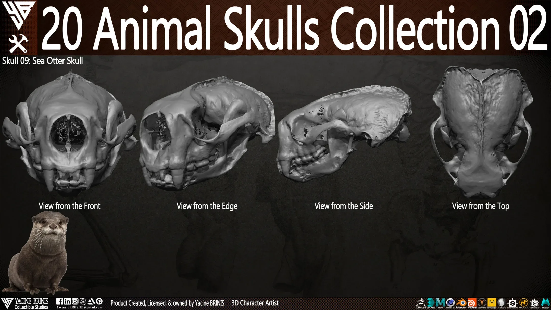 20 Animal Skulls Collection 02