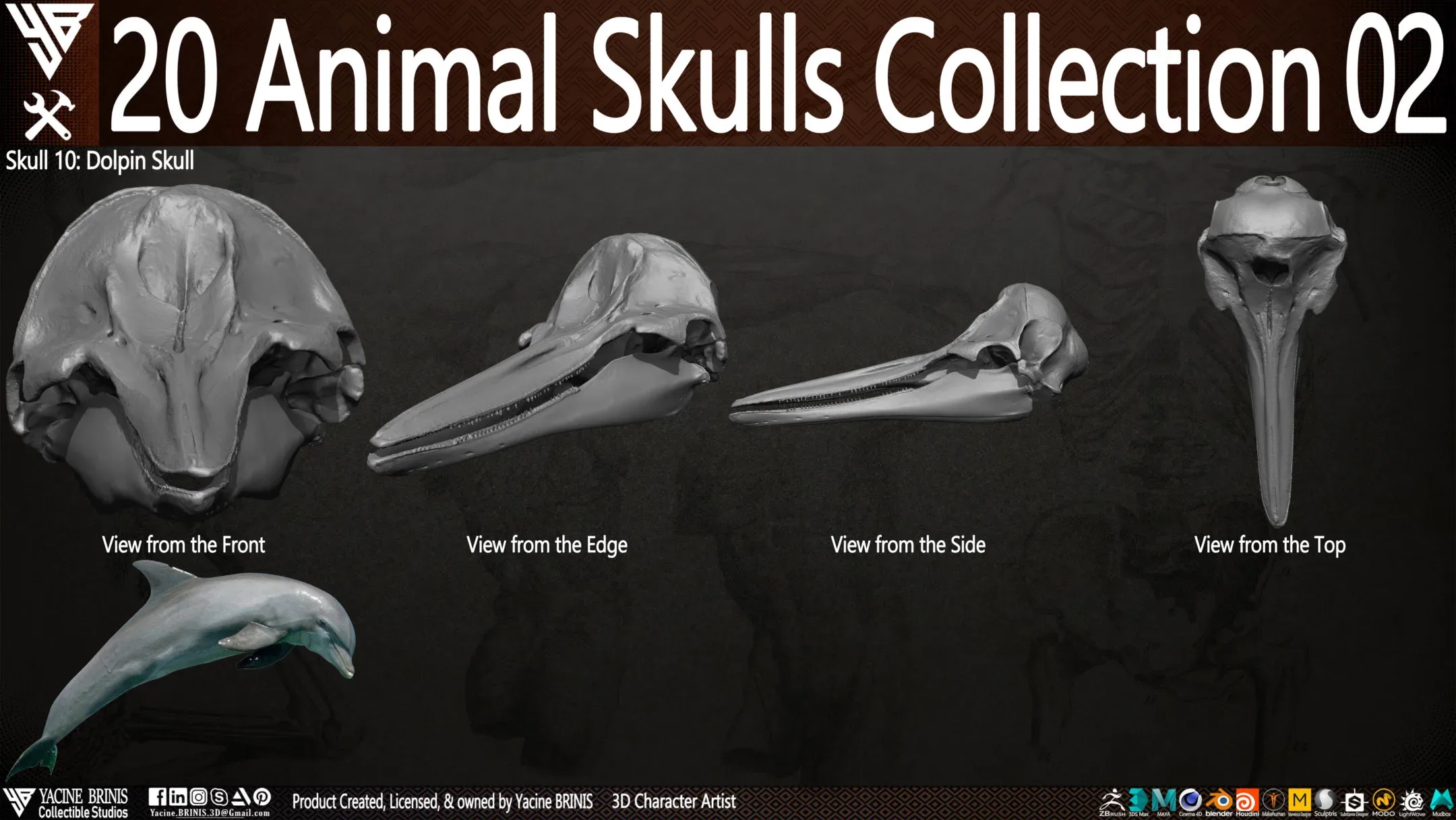 20 Animal Skulls Collection 02