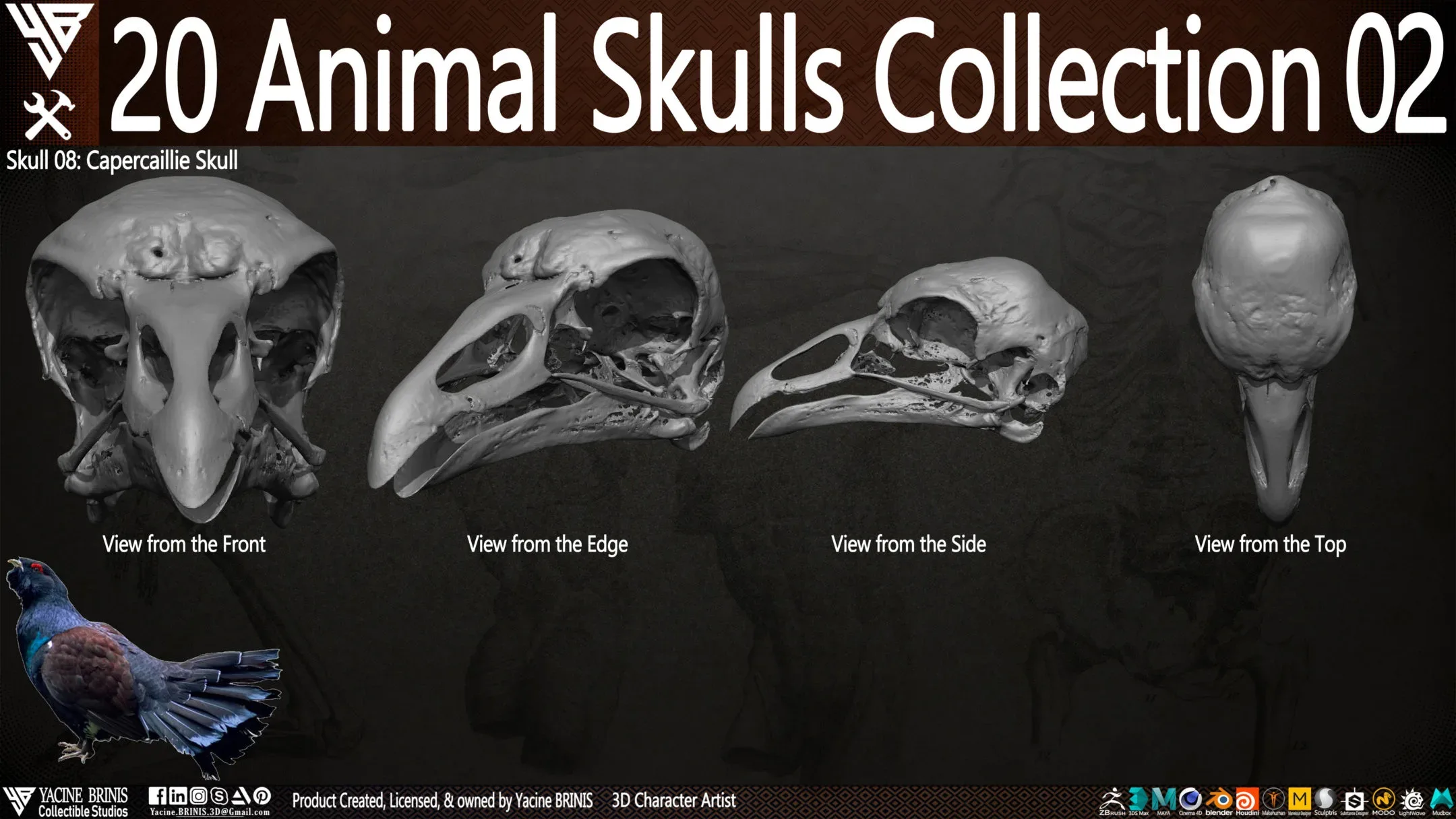 20 Animal Skulls Collection 02