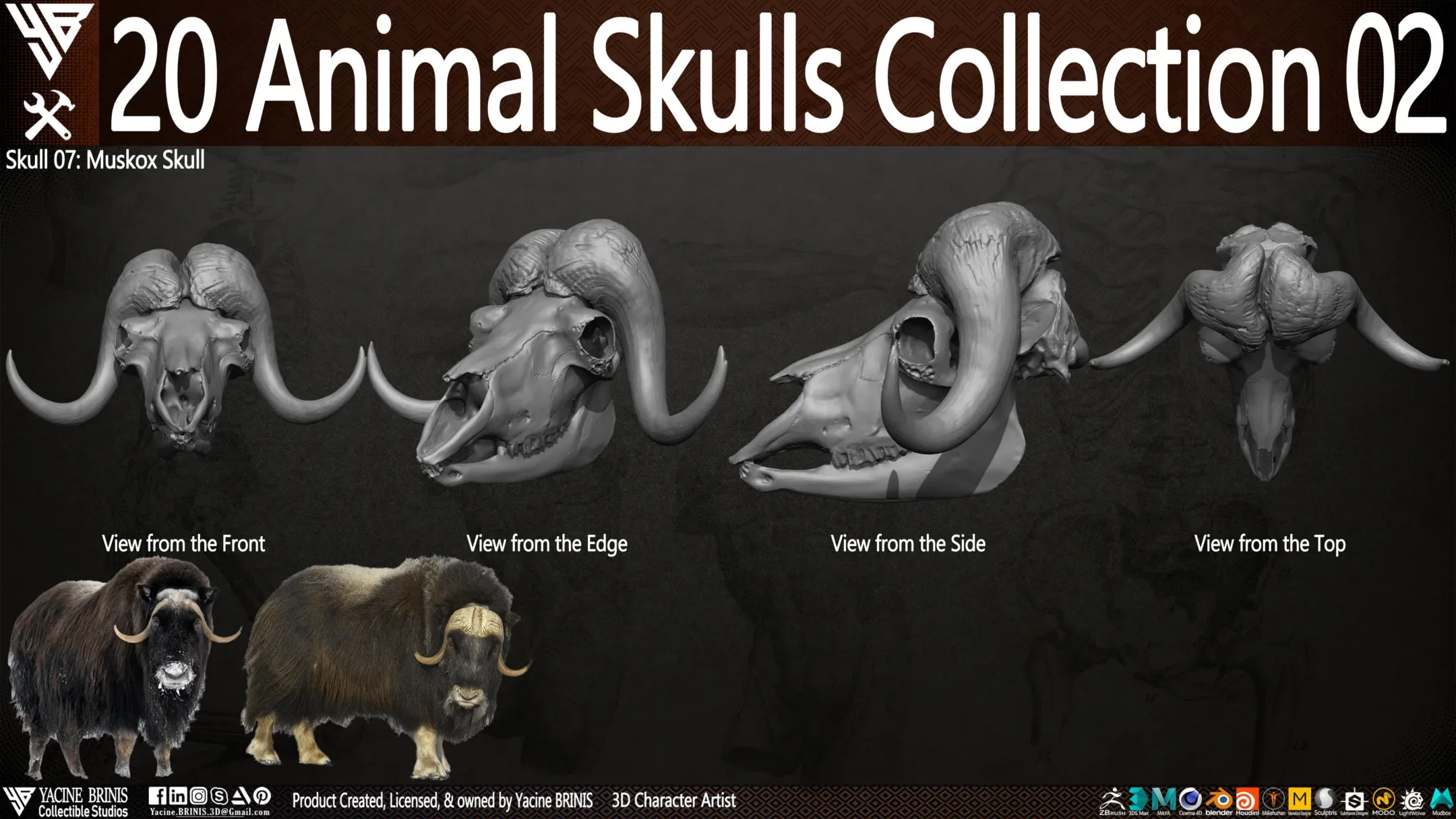 20 Animal Skulls Collection 02