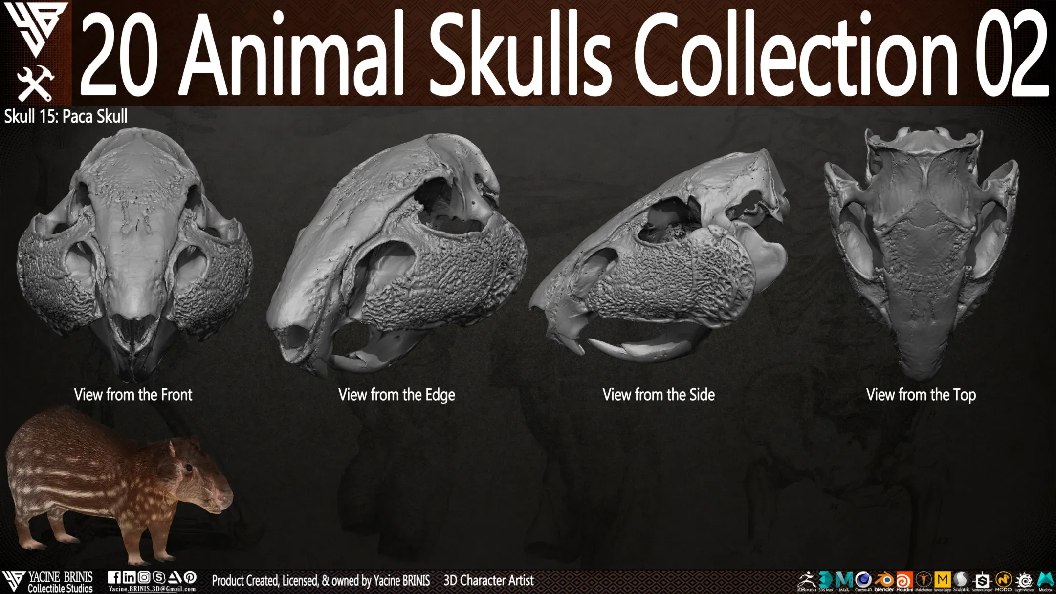 20 Animal Skulls Collection 02