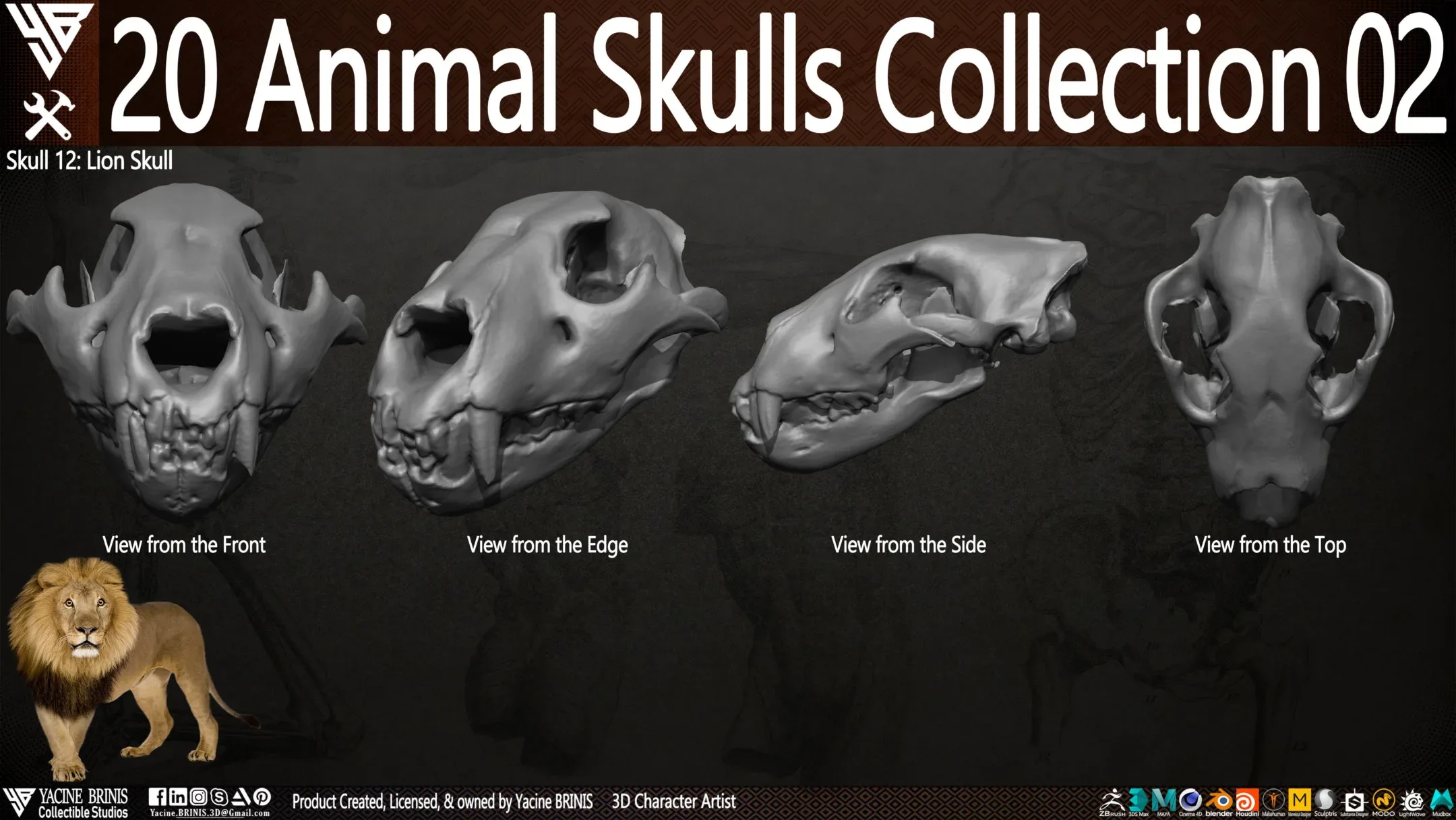 20 Animal Skulls Collection 02