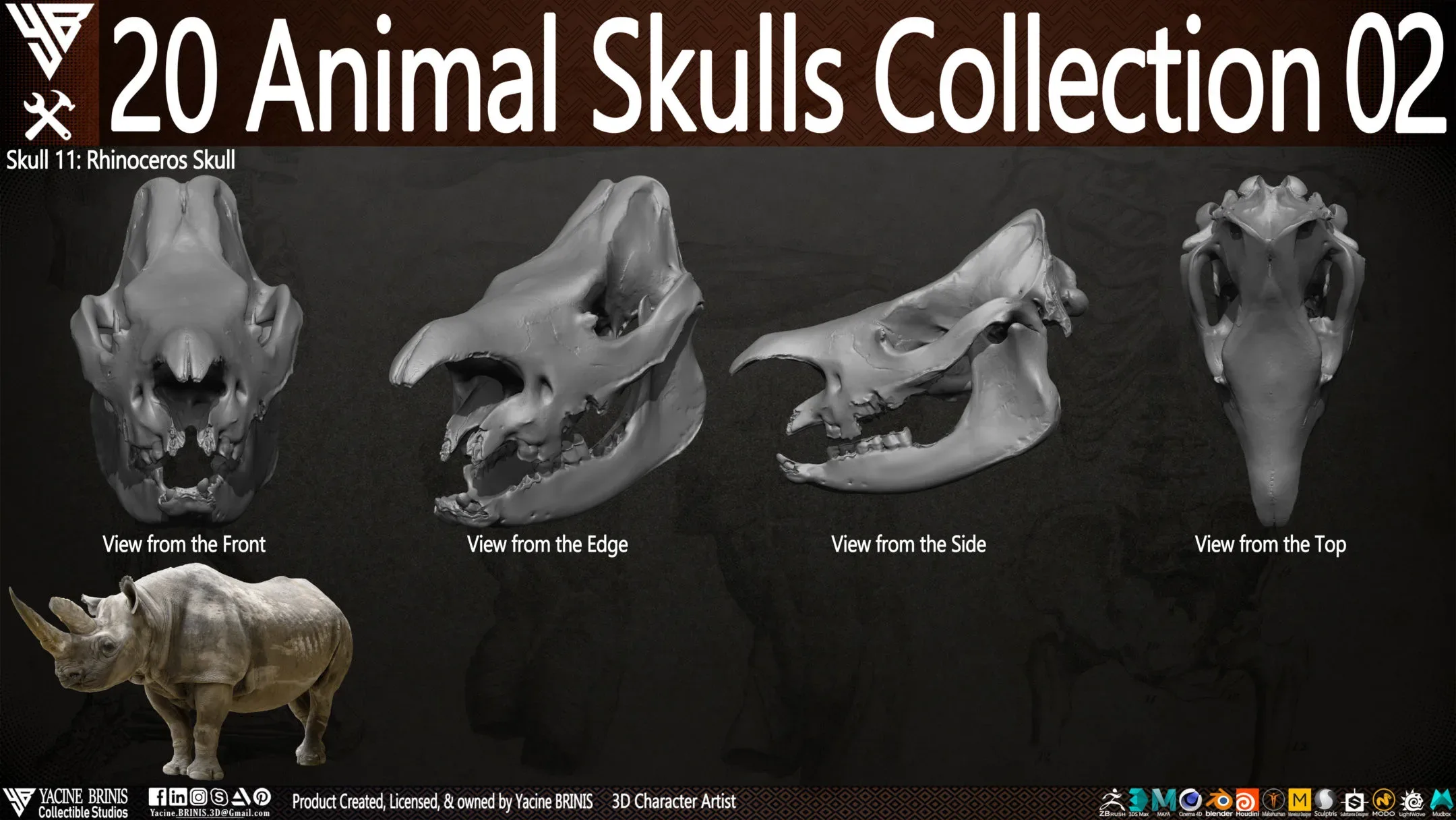 20 Animal Skulls Collection 02