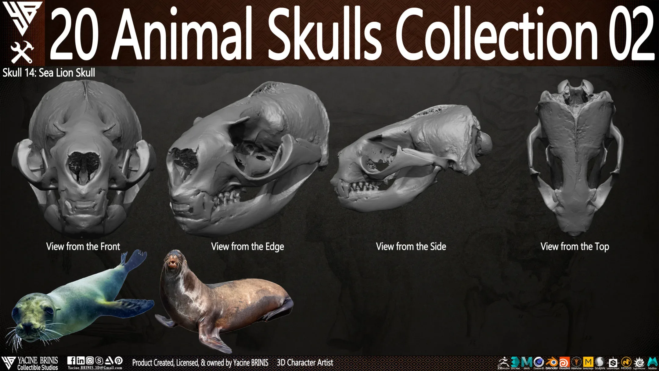 20 Animal Skulls Collection 02