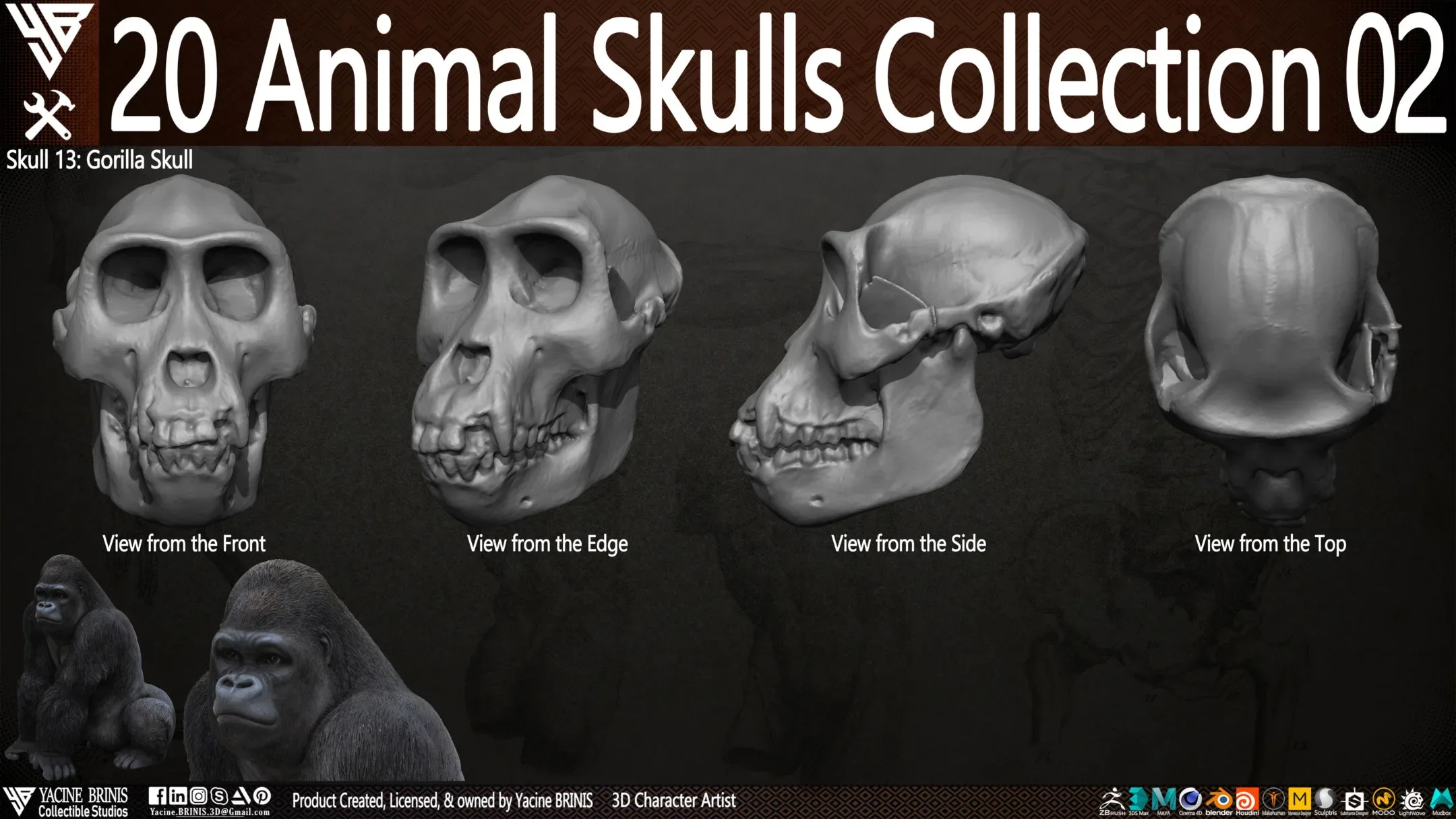 20 Animal Skulls Collection 02