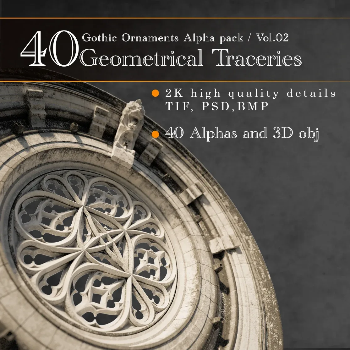 Gothic Ornaments Vol.02 / Geometrical Traceries