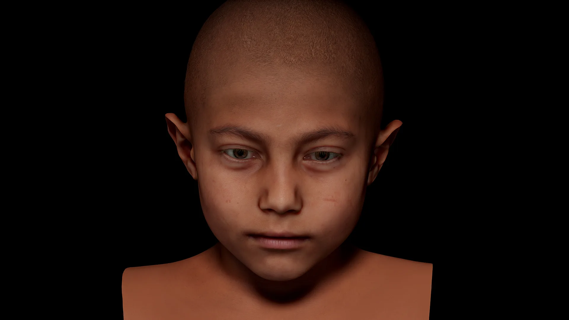 Retopologized Male Head scan | 3D Model Harry Jackson