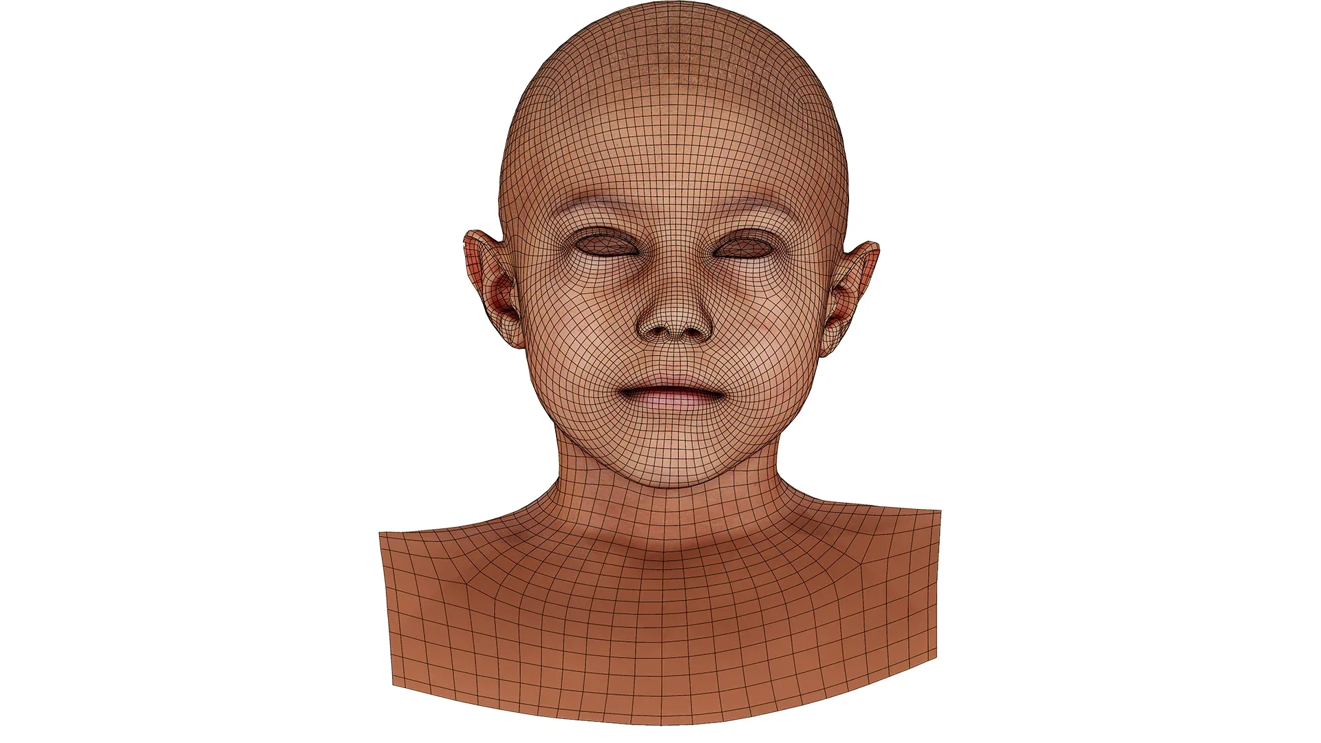Retopologized Male Head scan | 3D Model Harry Jackson