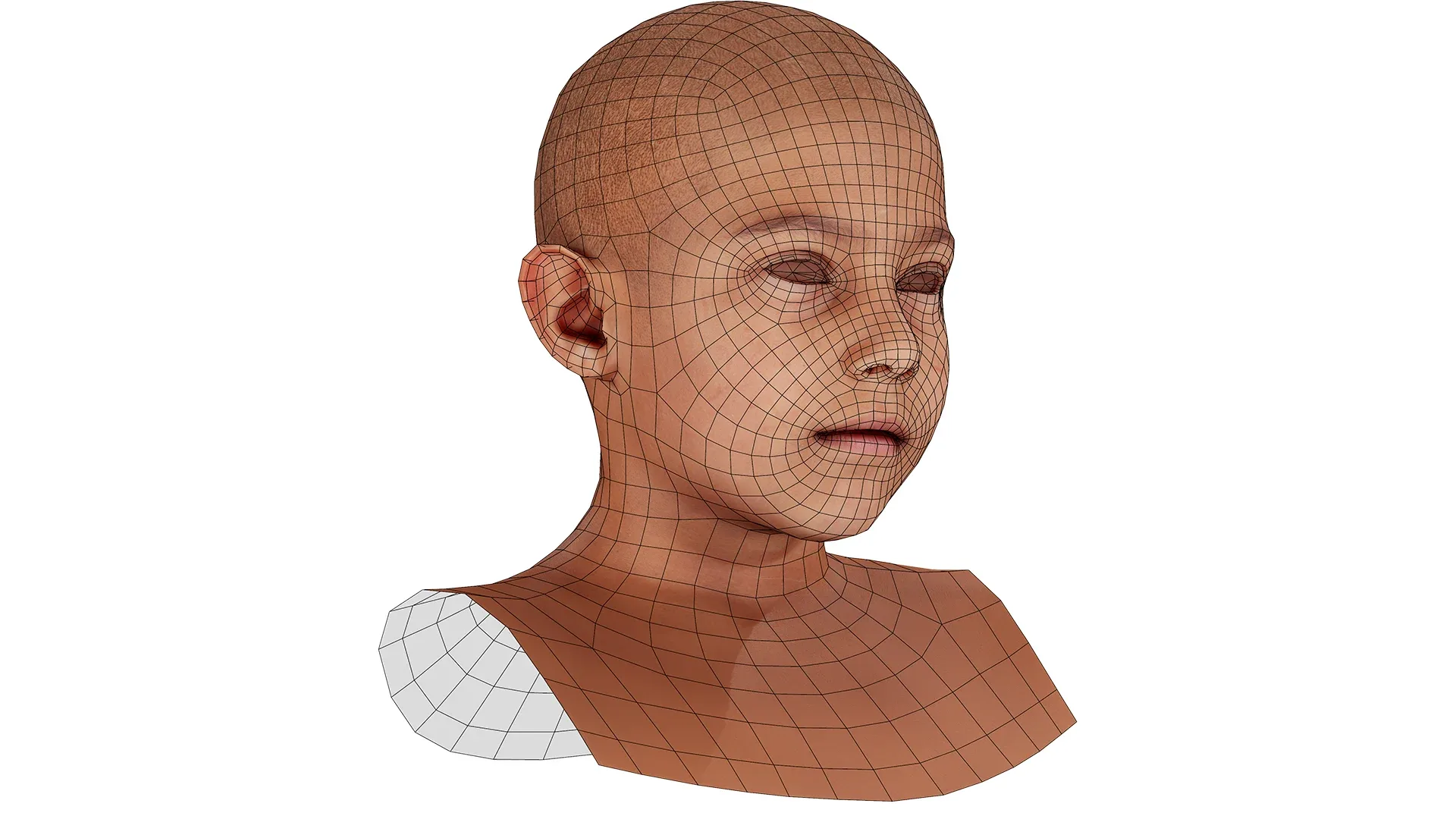 Retopologized Male Head scan | 3D Model Harry Jackson