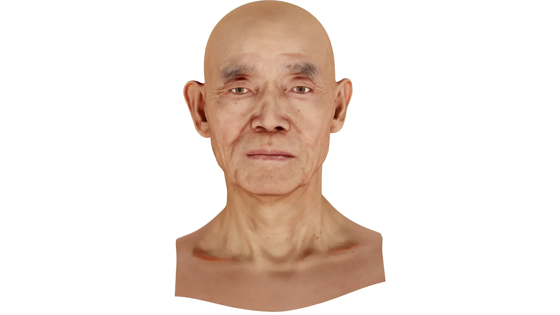 Retopologized Male Head scan | 3D Model Ike Hidetsugu