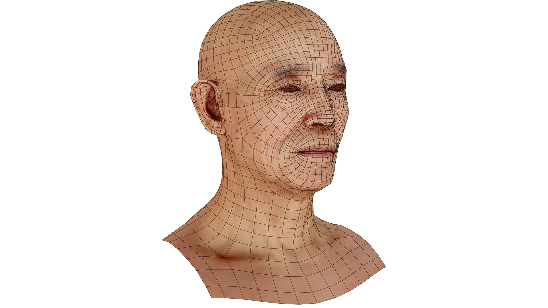 Retopologized Male Head scan | 3D Model Ike Hidetsugu