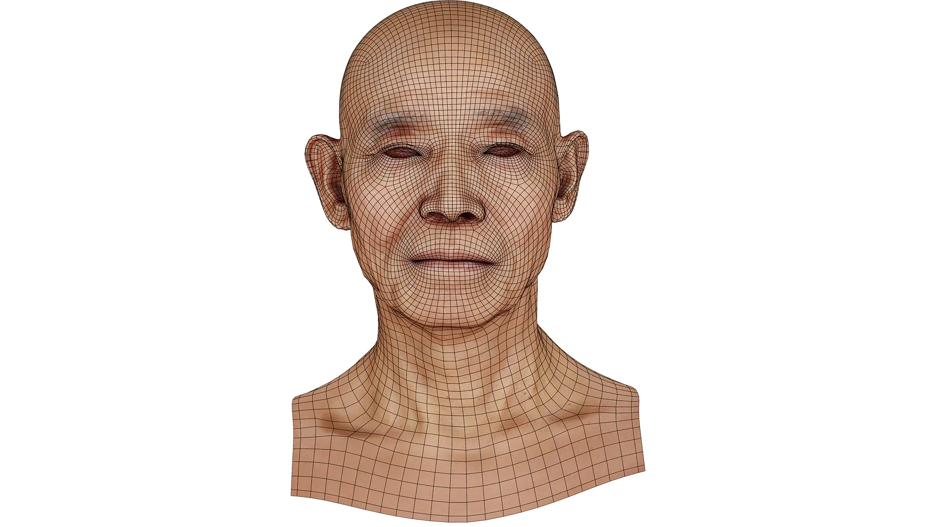 Retopologized Male Head scan | 3D Model Ike Hidetsugu