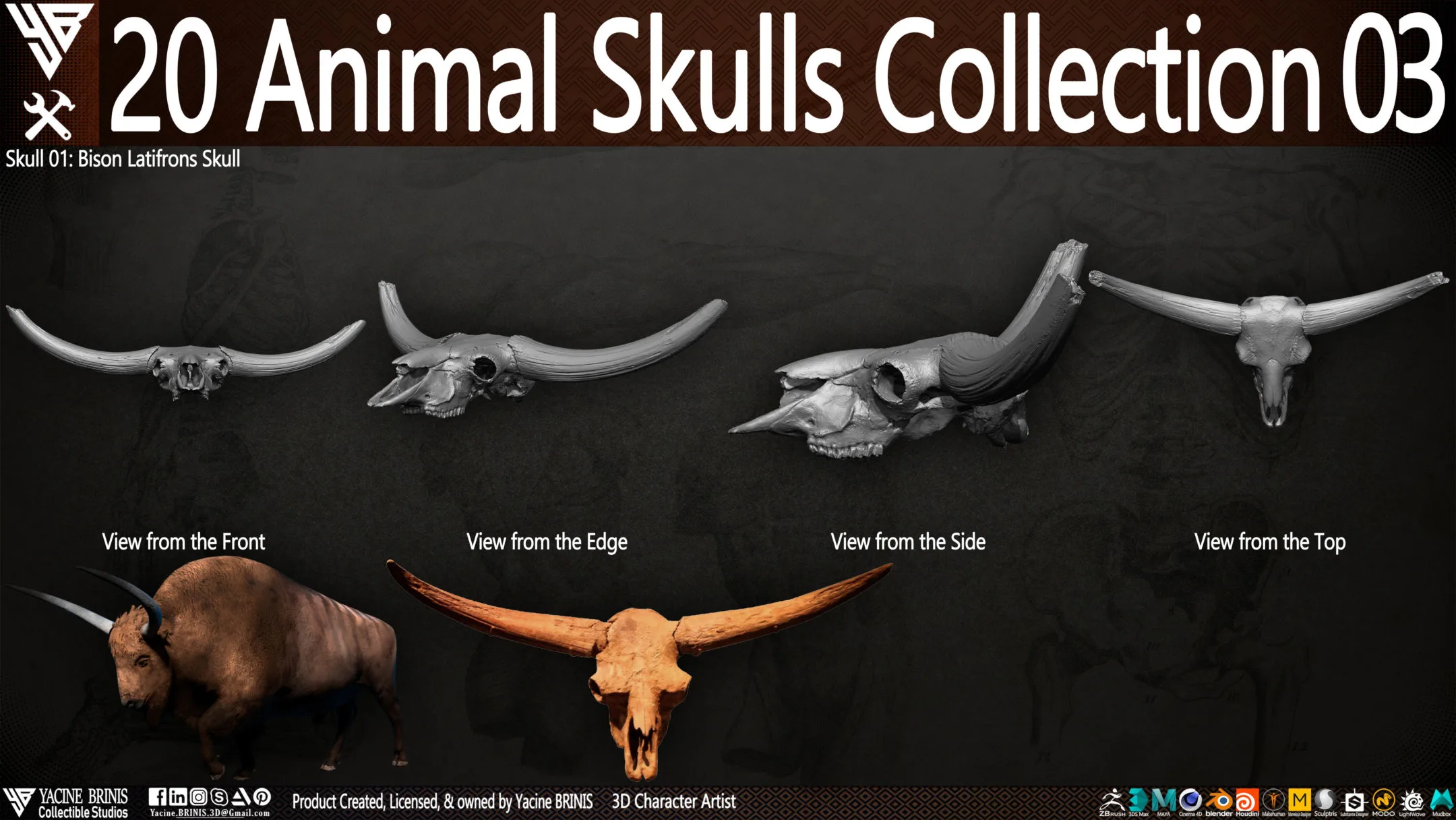 20 Animal Skulls Collection 03