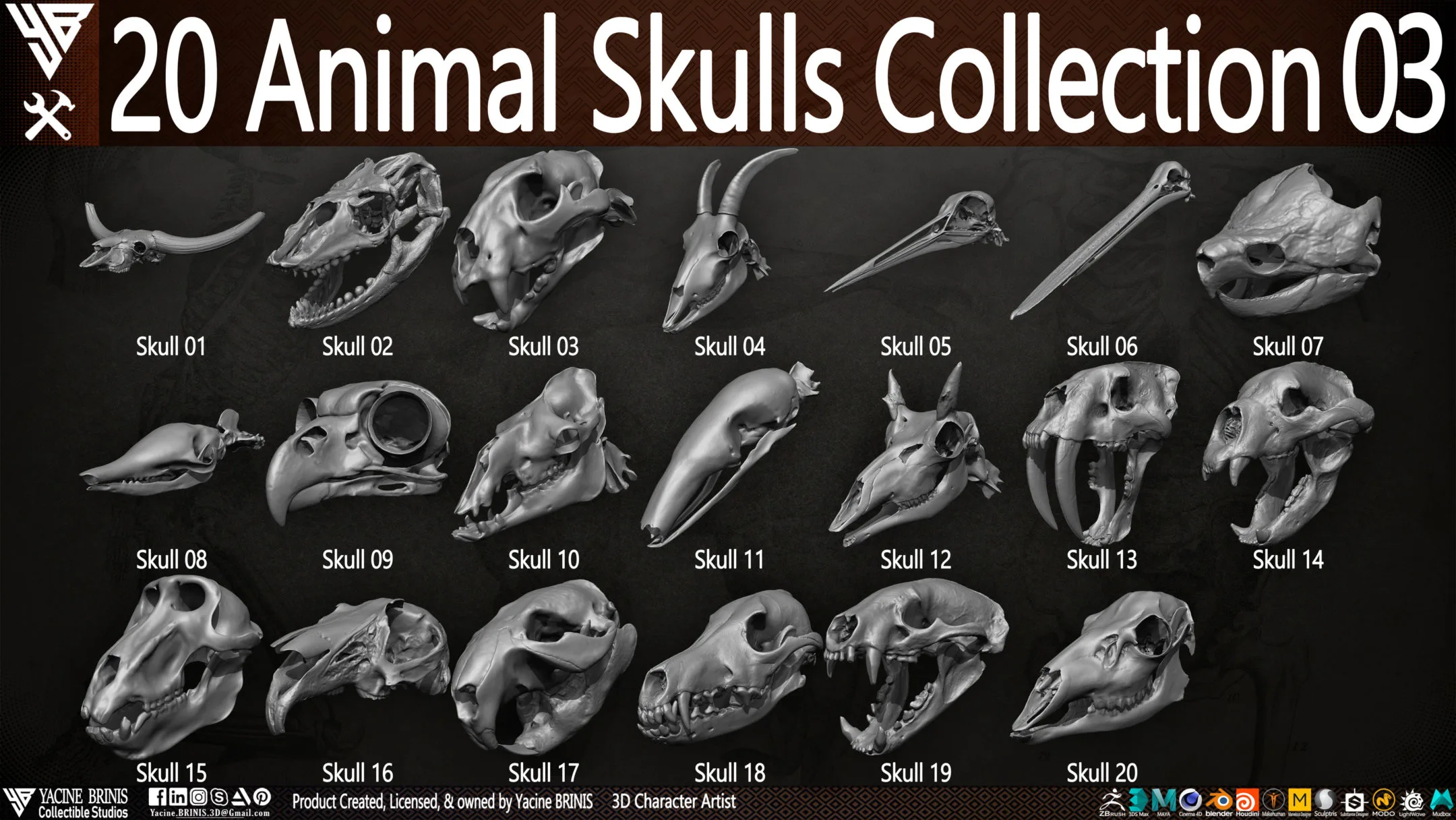 20 Animal Skulls Collection 03