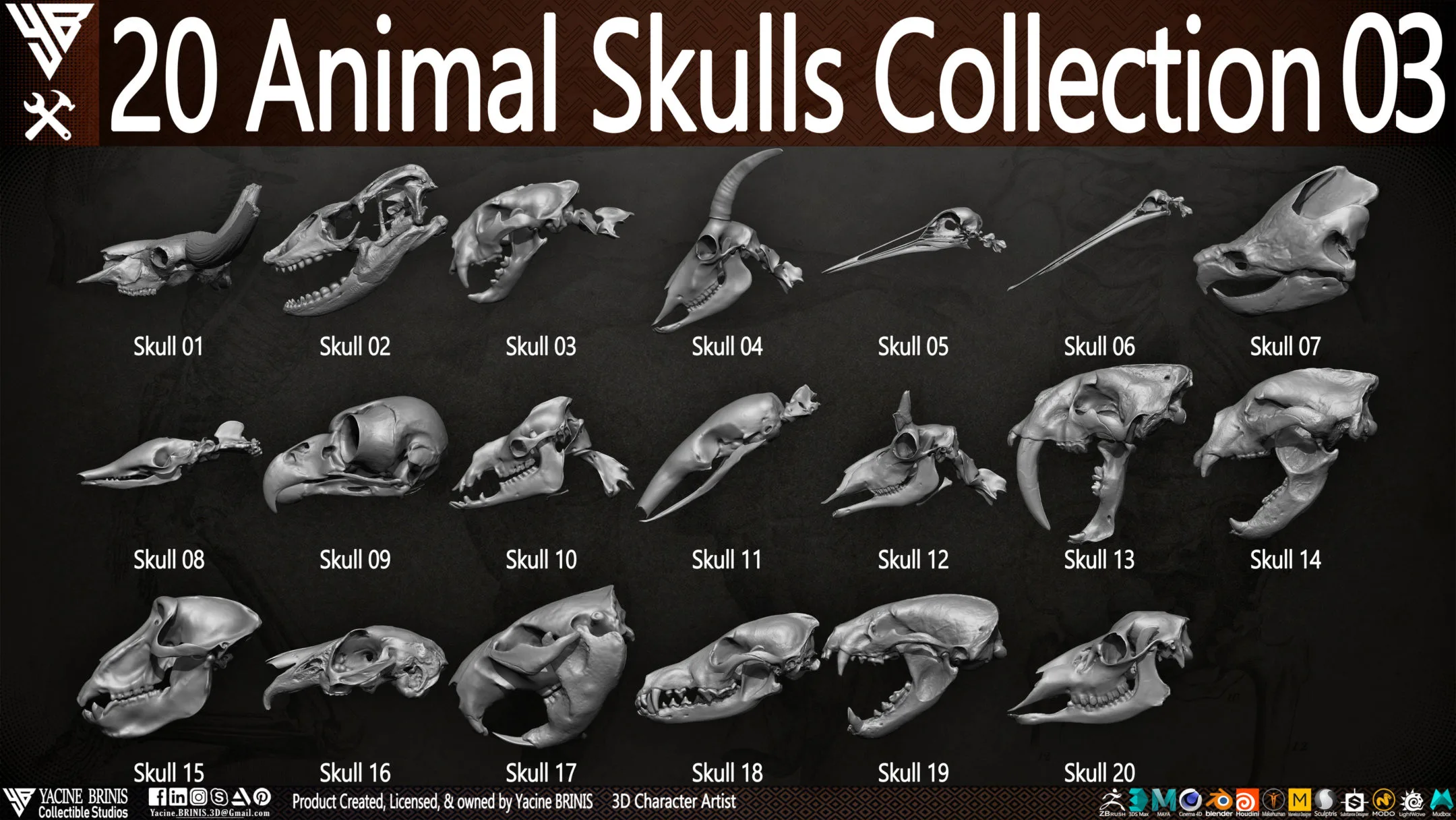 20 Animal Skulls Collection 03