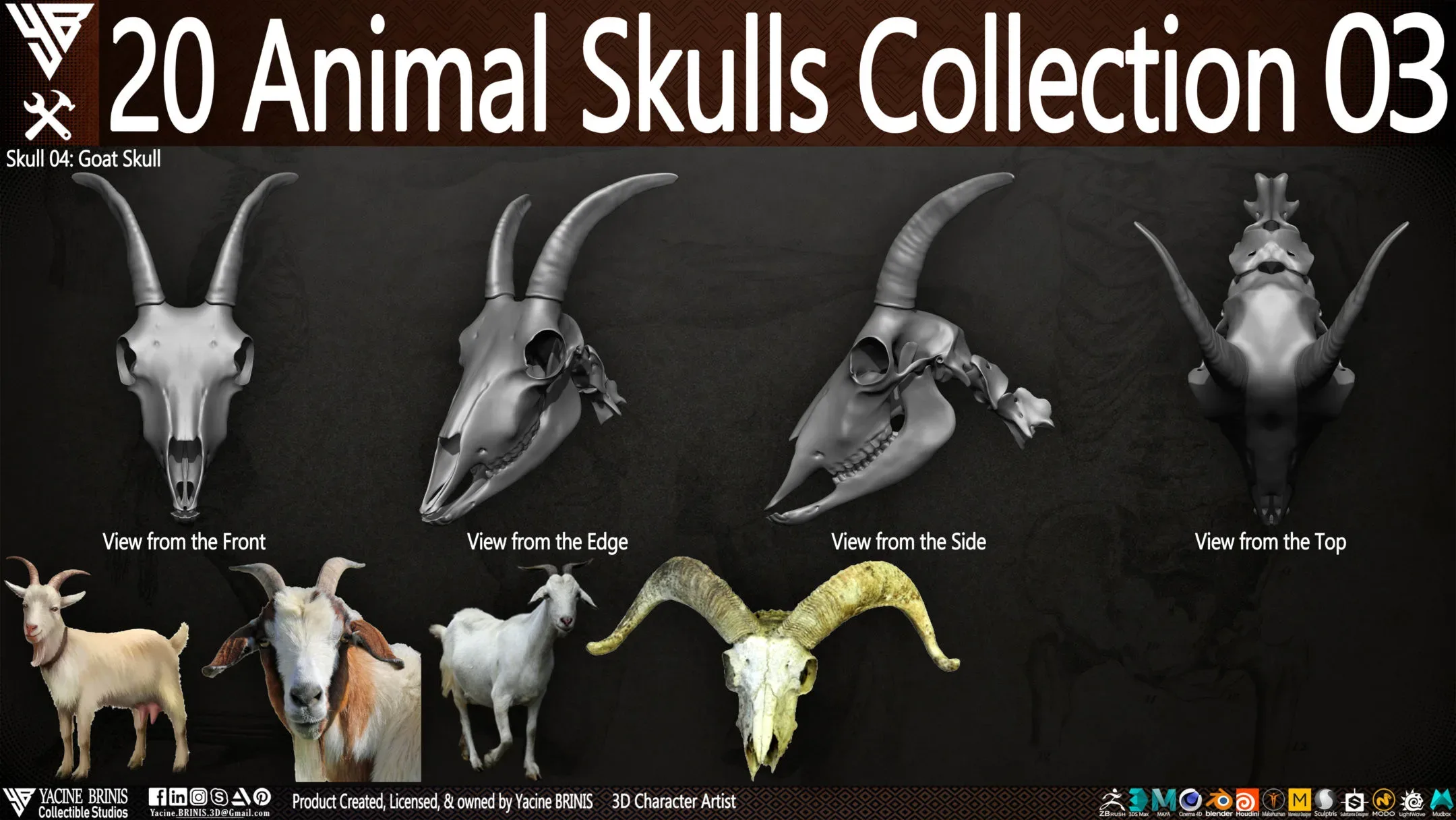 20 Animal Skulls Collection 03