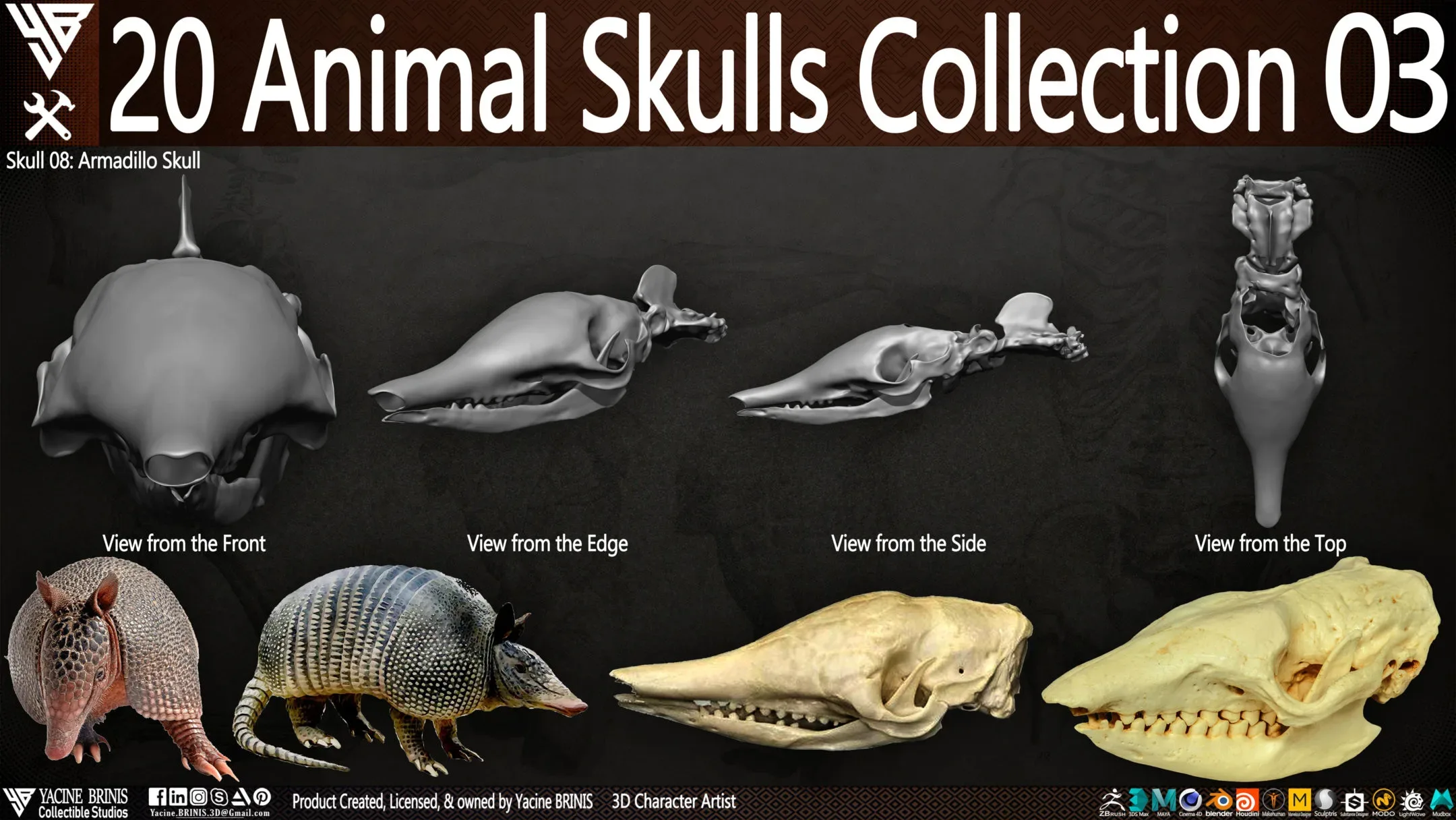 20 Animal Skulls Collection 03