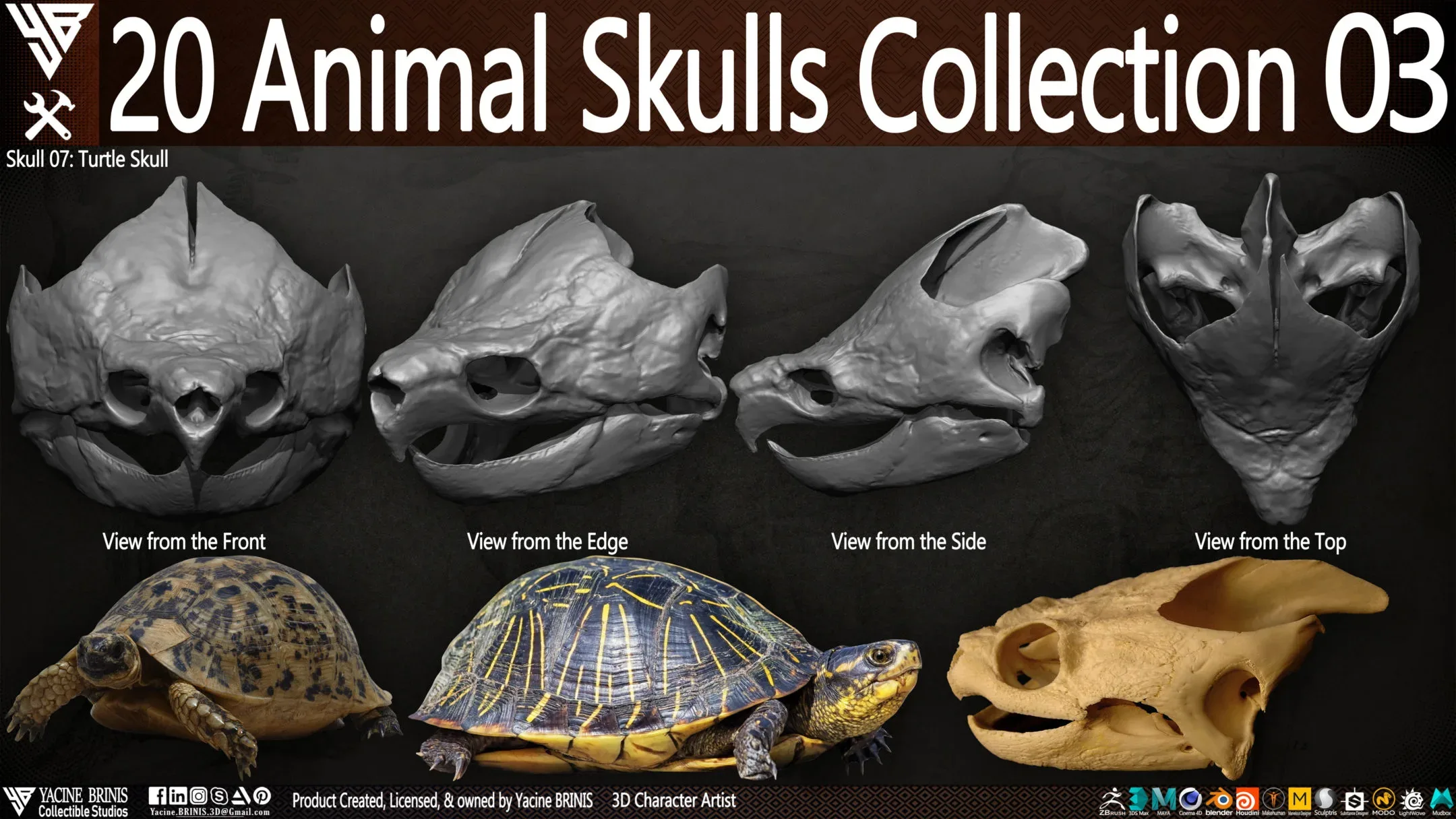 20 Animal Skulls Collection 03