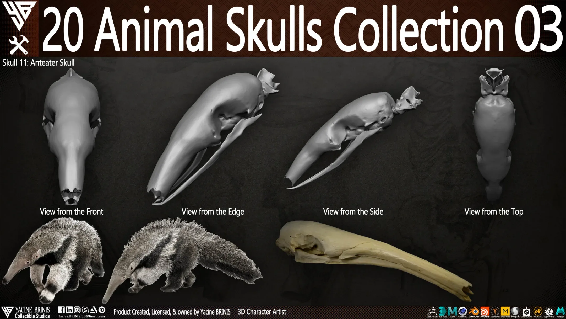 20 Animal Skulls Collection 03